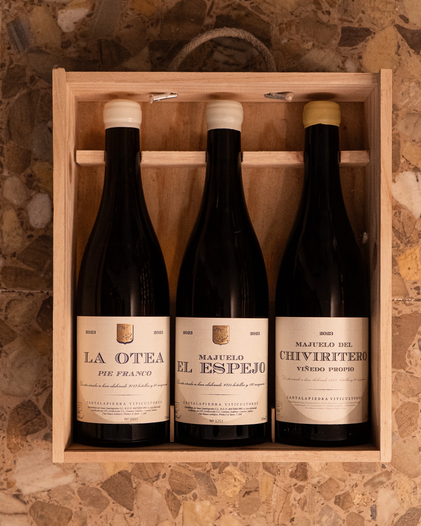 Presentamos las nuevas añadas 2023 de @cantalapiedra_viticultores , una de las bodegas familiares de referencia en la D.O. Rueda por su trabajo honesto con el viñedo y su apuesta por la Verdejo de parcela. Desde La Seca, Manuel y Víctor Cantalapiedra elaboran vinos de mínima intervención, viticultura ecológica y profundo respeto por el origen.
La Otea Pie Franco 2023 procede de viñas prefiloxéricas en suelos arenosos y muestra una expresión pura y delicada de la Verdejo, con frescura, finura y notable profundidad. Majuelo El Espejo 2023 refleja la personalidad de su parcela, combinando tensión, elegancia y mineralidad precisa. Majuelo del Chiviritero 2023 se distingue por su estructura y volumen en boca, con un perfil gastronómico que evidencia la capacidad de guarda de estos vinos.
Tres nuevas añadas que invitan a descubrir el alma de cada viña y a viajar con cada sorbo por los paisajes de Rueda.