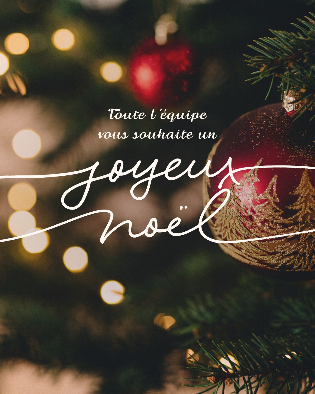 🎄✨ Joyeux Noël à tous ! ✨🎄
••
Toute l’équipe vous souhaite de très belles fêtes de fin d’année 🎁
Que ce Noël soit rempli de moments précieux, de partage, et pourquoi pas… de projets nautiques pour la saison à venir ⛵❄️
••
Merci pour votre confiance tout au long de l’année.
••
À très bientôt, et encore Joyeux Noël 🎄🎅
•
•
#Noël #noelmagique #noelenfamille #joiedevivre #lavieestbelle🎄🎅