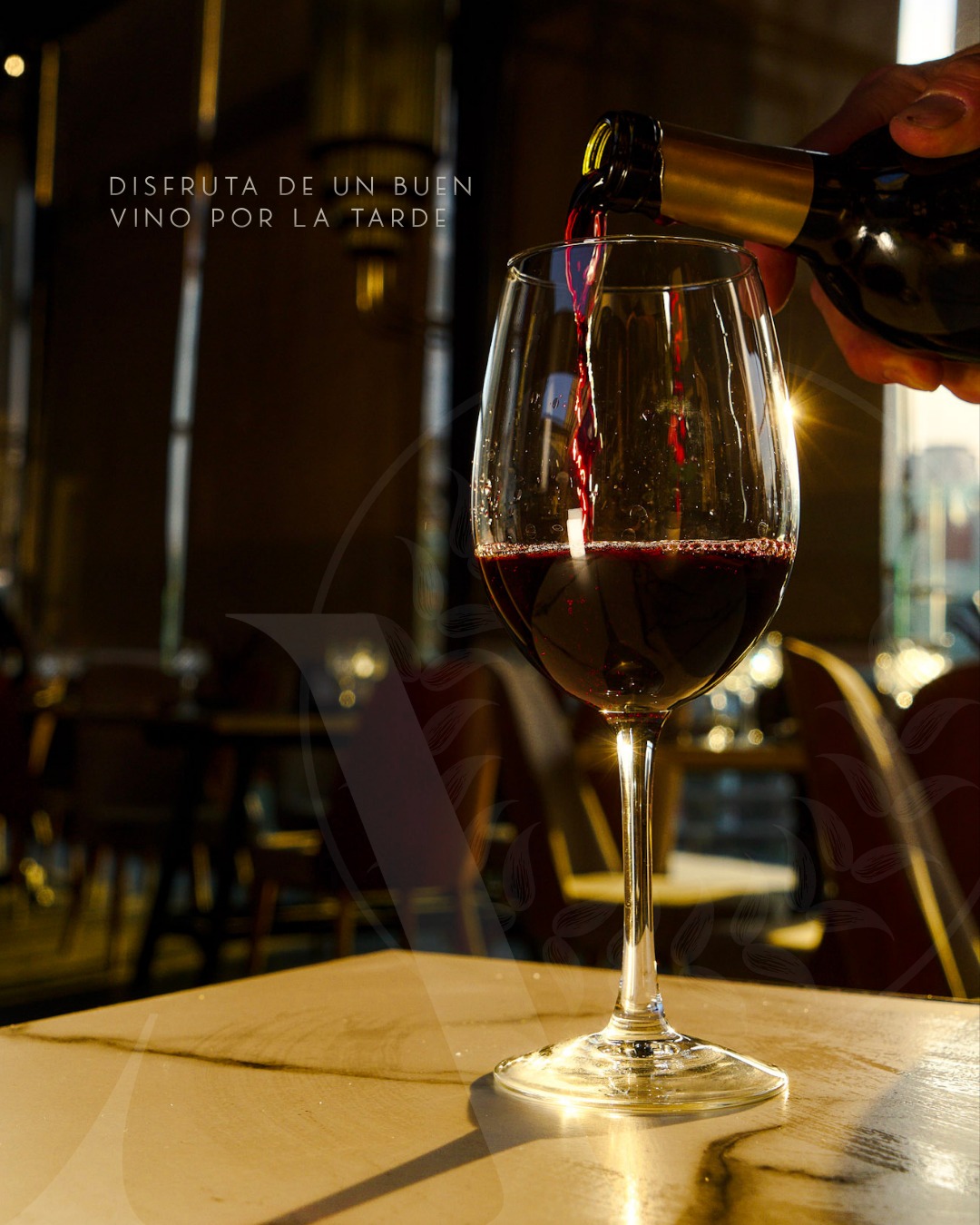 Atardecer, vino y buena compañía.El plan perfecto está aquí.
📍 Av. de la República 157, Piso 7
🗓️ Reserva en www.arangorestaurante.com
#RestaurantesCDMX #PlanEnLaCiudad #ArangoCDMX #AltaCocinaMexicana #RooftopCDMX