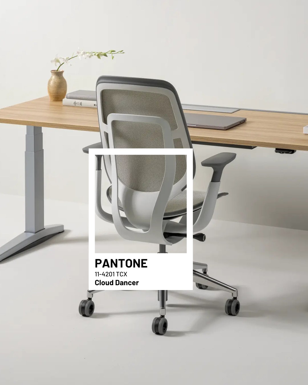 Cloud Dancer ist die Pantone-Farbe des Jahres 2026. 🤍
Das bedeutet, dass diese Farbe im kommenden Jahr besonders oft in Design, Möbeln und Räumen zu sehen sein wird.
Cloud Dancer ist ein sehr helles und vor allem weiches Weiß. Es wirkt ruhig, freundlich und aufgeräumt. Räume fühlen sich damit größer, heller und entspannter an.
Genau deshalb passt diese Farbe gut in Büros und Arbeitsbereiche. Sie hilft dabei, sich besser zu konzentrieren und sich wohler zu fühlen.
#PantoneColorOfTheYear #Pantone2026 #CloudDancer #FarbeDesJahres #InteriorDesign #WorkplaceDesign #Bürogestaltung #OfficeDesign #Raumgestaltung #Designtrends