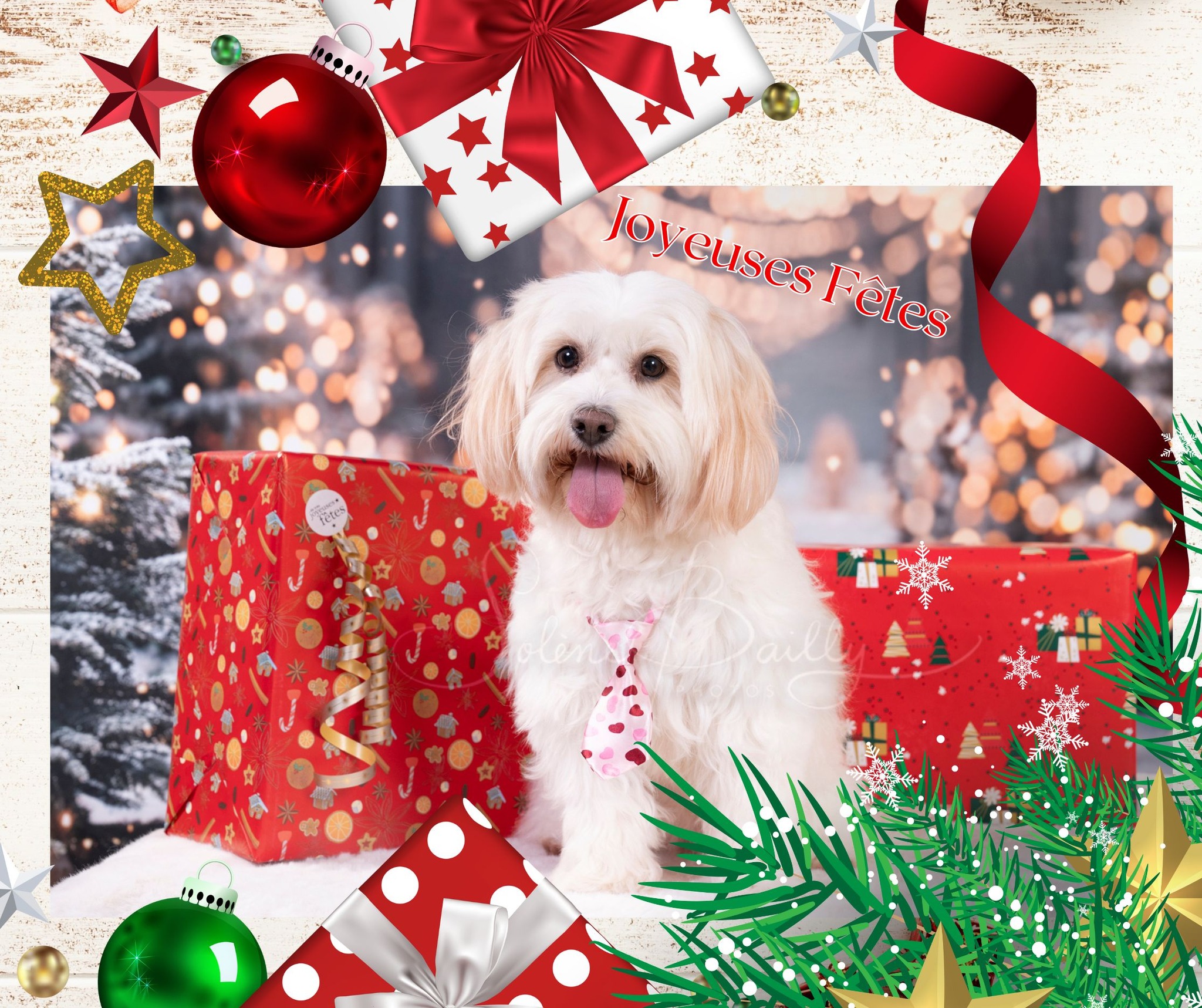 🎄🎉🎁Joyeuses Fêtes à tous, profitez bien des moments partagés avec les personnes que vous aimez et soyez prudents 💖