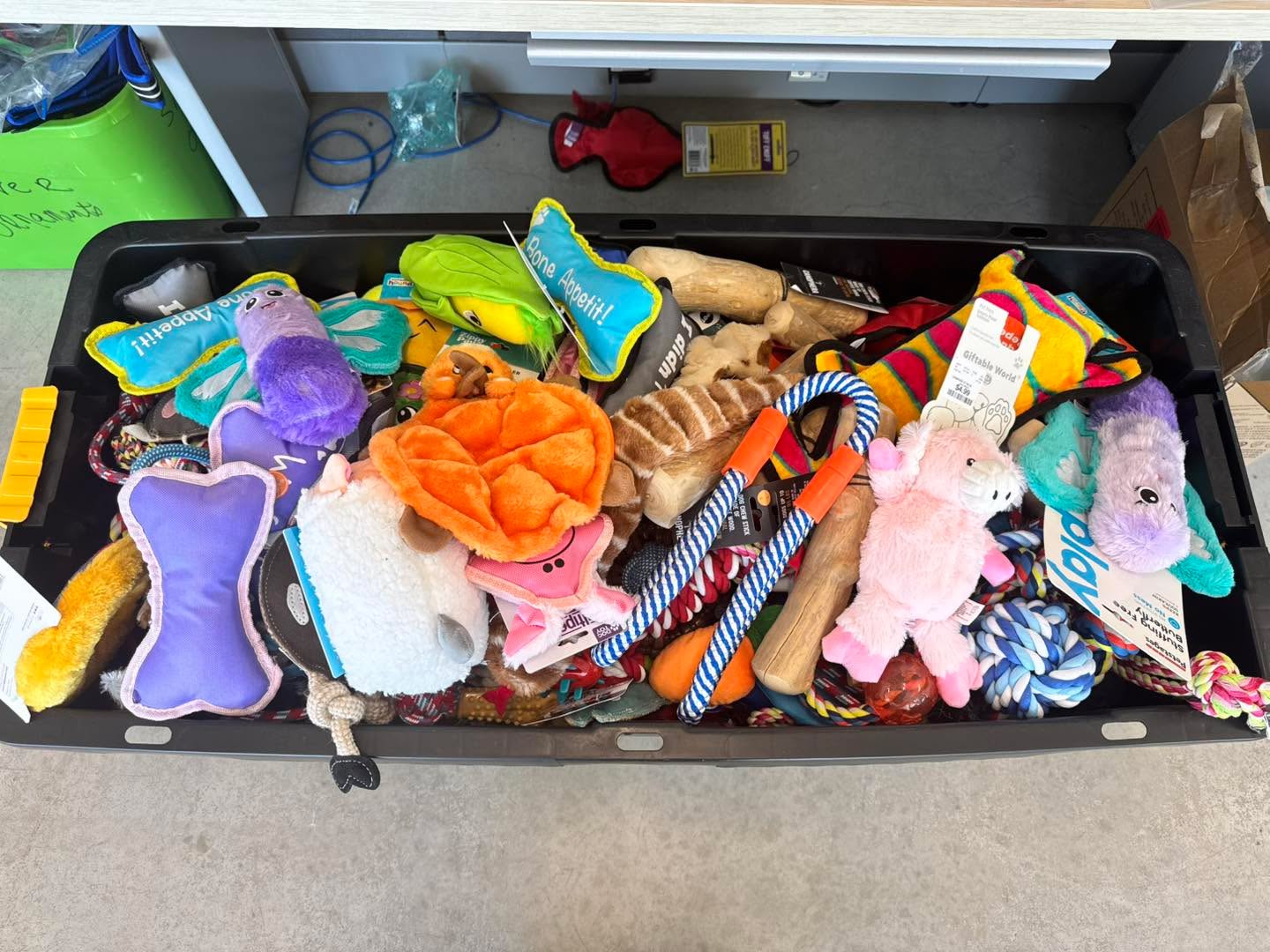 Because of YOU 💙
When supporters donate Chewy gift cards through the link on our website, amazing things happen.
This week, those donations helped us purchase over $500 worth of toys to replenish the foster closet at the north shelter location.
Thank you for making a real difference for Fort Worth Animal Care & Control foster animals. If you would like to donate a Chewy gift card please visit our website (link in bio) and scroll down to the bottom of the donation page!
