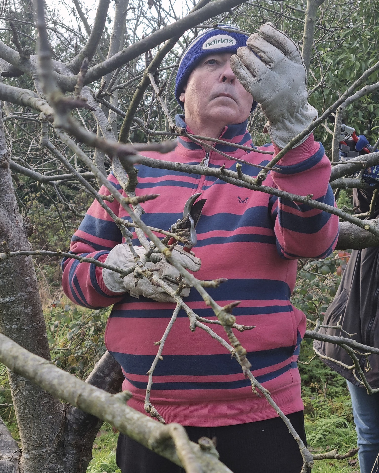 Our annual visit to #KingdomForestGarden in #Stirchley for #FruitTree #WinterPruning was a lovely session as always, where our wonderful volunteers worked hard to keep our trees healthy and thriving.