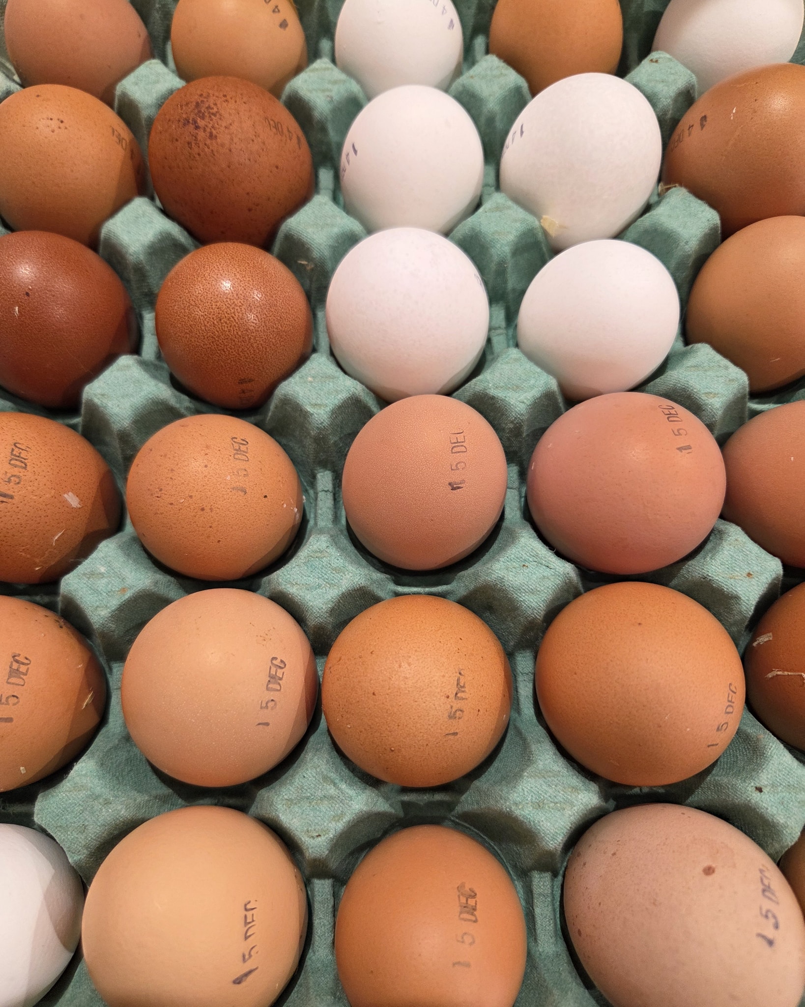 The chickens are now back on form and are laying well so we have plenty of eggs in the farm shop
6 eggs £1.60
12 eggs £3.00
30 eggs £7.00