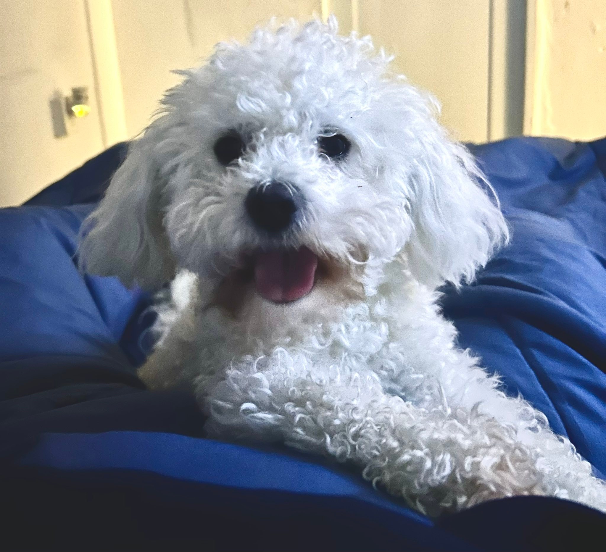 Cuantos bebés tendremos???? 💜😍