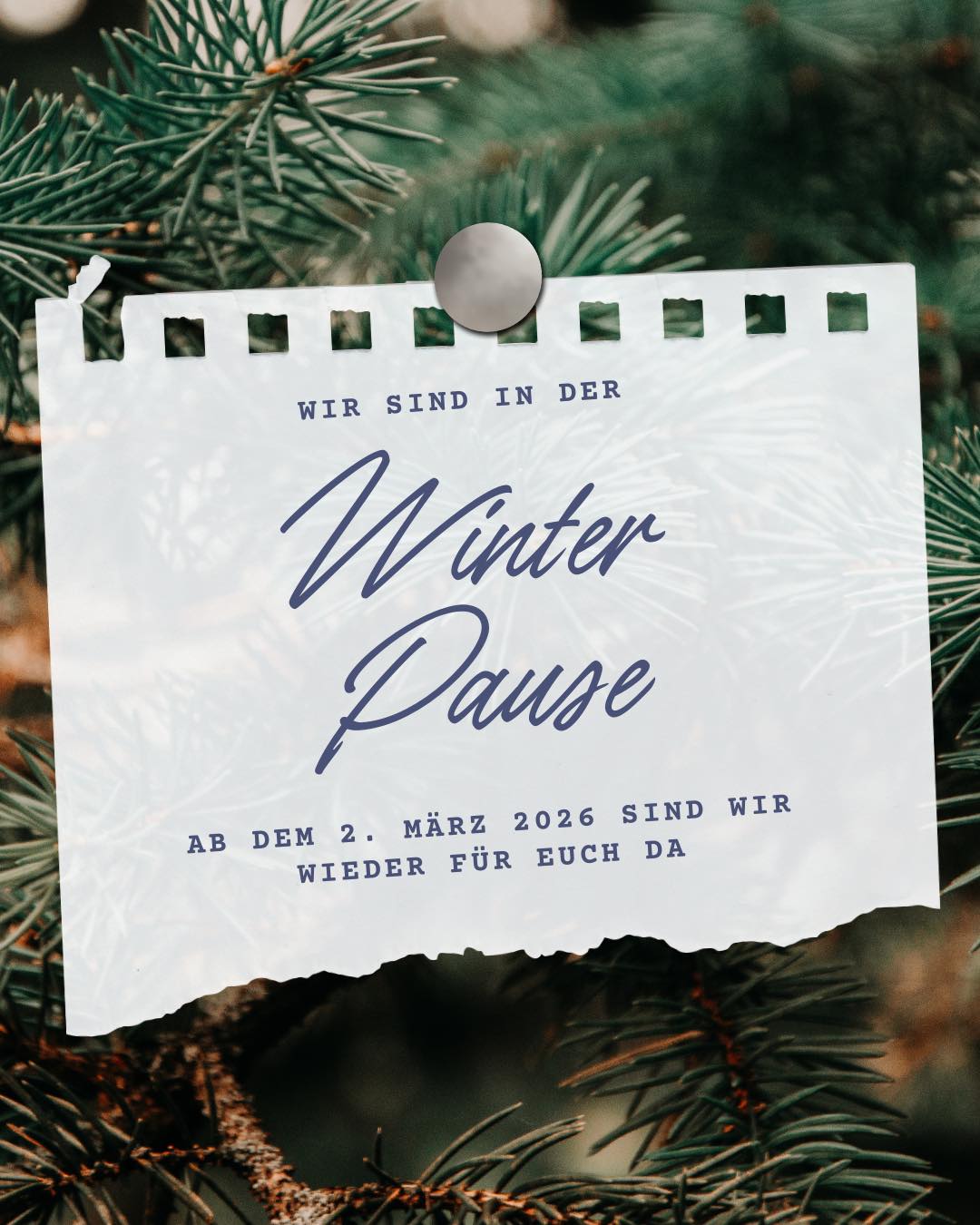 Wir verabschieden uns in die Winterpause ❄️🌲
Danke für ein tolles Jahr – ab dem 2. März 2026 sind wir wieder mit voller Energie für euch da ✨