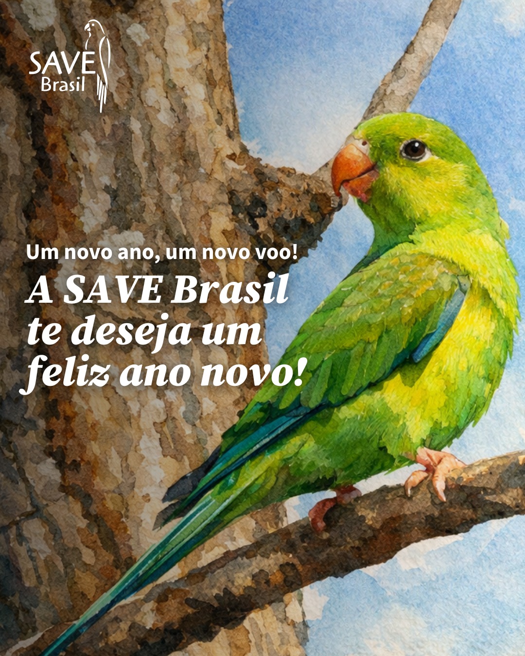 Um novo ano, novos voos pela conservação 🌿✨
Chegamos ao fim de 2025 com um sentimento de gratidão. Agradecemos a você por caminhar com a gente e por apoiar a proteção das aves brasileiras. 🐦💚
Cada ação, cada apoio e cada escolha fizeram a diferença ao longo do ano.
Que 2026 seja um tempo de renovação e mais voos rumo a um futuro onde as aves e os ambientes naturais possam existir em harmonia com as pessoas. 🌎
Seguimos juntos, transformando compromisso em ação. Pelas aves, para a vida!
#savebrasil #felizanonovo #2026
