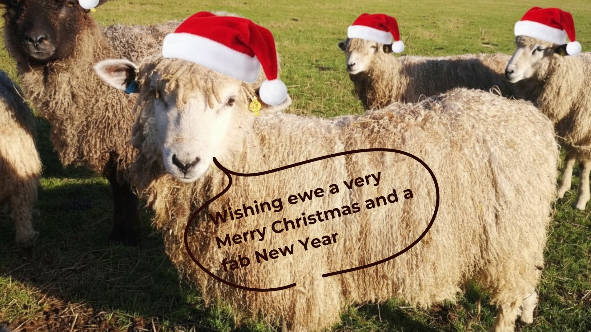 Wishing all our followers and subscribers a very Merry Christmas. I hope Father Christmas brings you all you wish for.
We're taking a break to relax, recharge and reflect -
* The studio will re-open on Thursday 22 January.
* We'll process any website orders up to 31 December and then any placed after that date will be processed from 18 January
* We'll be back social media from 18 January
Thank you so much for all your support over the last year - it has been so encouraging. We're looking forward to a great 2026!
#christmaswishes #festive #reflective #selfcarematters