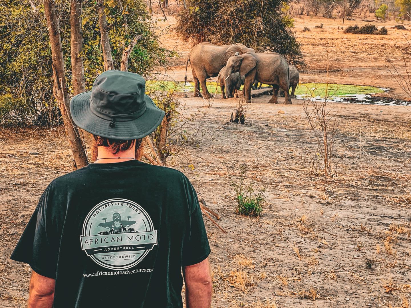 Our head guide Jordan keeping an eye on the Family of Elephants feet from our camp in Botswana 😎.
Just your average day on The Grand Tour!
What’s the best wildlife moment you’ve ever had?