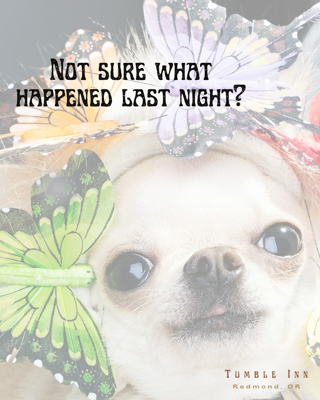 If you woke up confused… same.
Swing by The Tumble.
We won’t ask questions.
#redmondoregon #thetumble #RedmondOR #LocalSpot #remondoregon #RedmondDiveBar #localsknow #TumbleInnRedmond #DiveBarFun #localhangoutredmond #TumbleInnFamily #thetumbleinnredmond #TumbleInn #local #thetumbleinn #DiveBarVibes #redmonddivebar #centraloregon #localbusiness #RedmondORBars