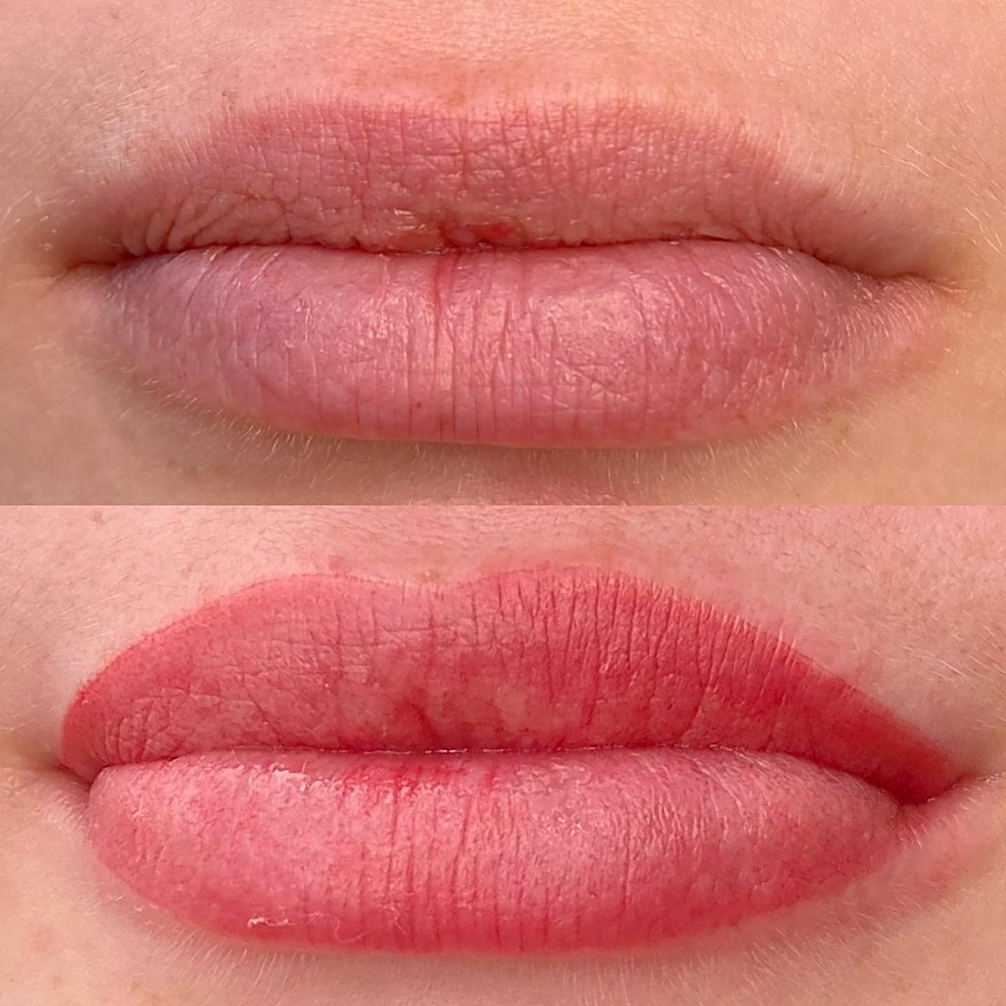 Soft, Natural, and long lasting perfect lips everyday - 3-7 years of your favorite lip shade to just gloss and go✨
check out our website to see if you are suitable for this service ✨
#liptint #cosmetictattoo #lipblush #liptattoo #sheerlips #hanafycolourspigments #invercargillnz #southlandnz #nzpmuartist #nzpmu #permanentmakeupartist #pmuartist #darklipneutralization #pmulips💋