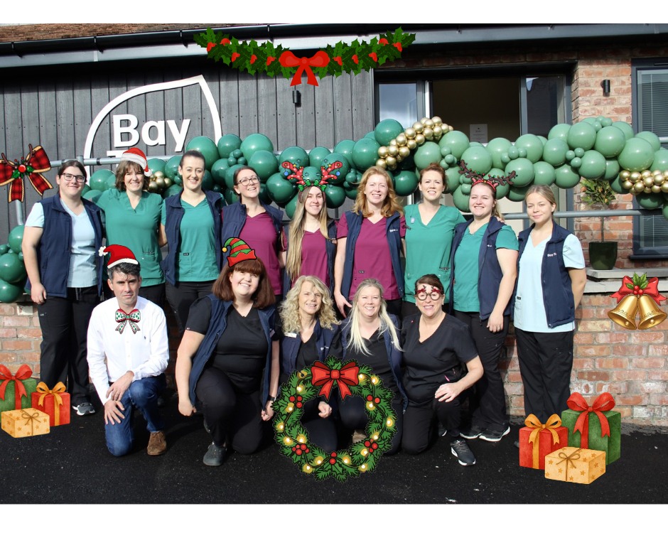 🎄🐾 Merry Christmas from all of us at Bay Tree Veterinary Clinic! 🐾🎄
We’d like to wish all our wonderful clients and their much-loved pets a very Merry Christmas and a happy, healthy New Year. Thank you for trusting us with your pets’ care throughout the year – it truly means the world to our team.
We look forward to seeing you and your furry family members in the New Year! 💚
Enjoy the festivities and stay safe.