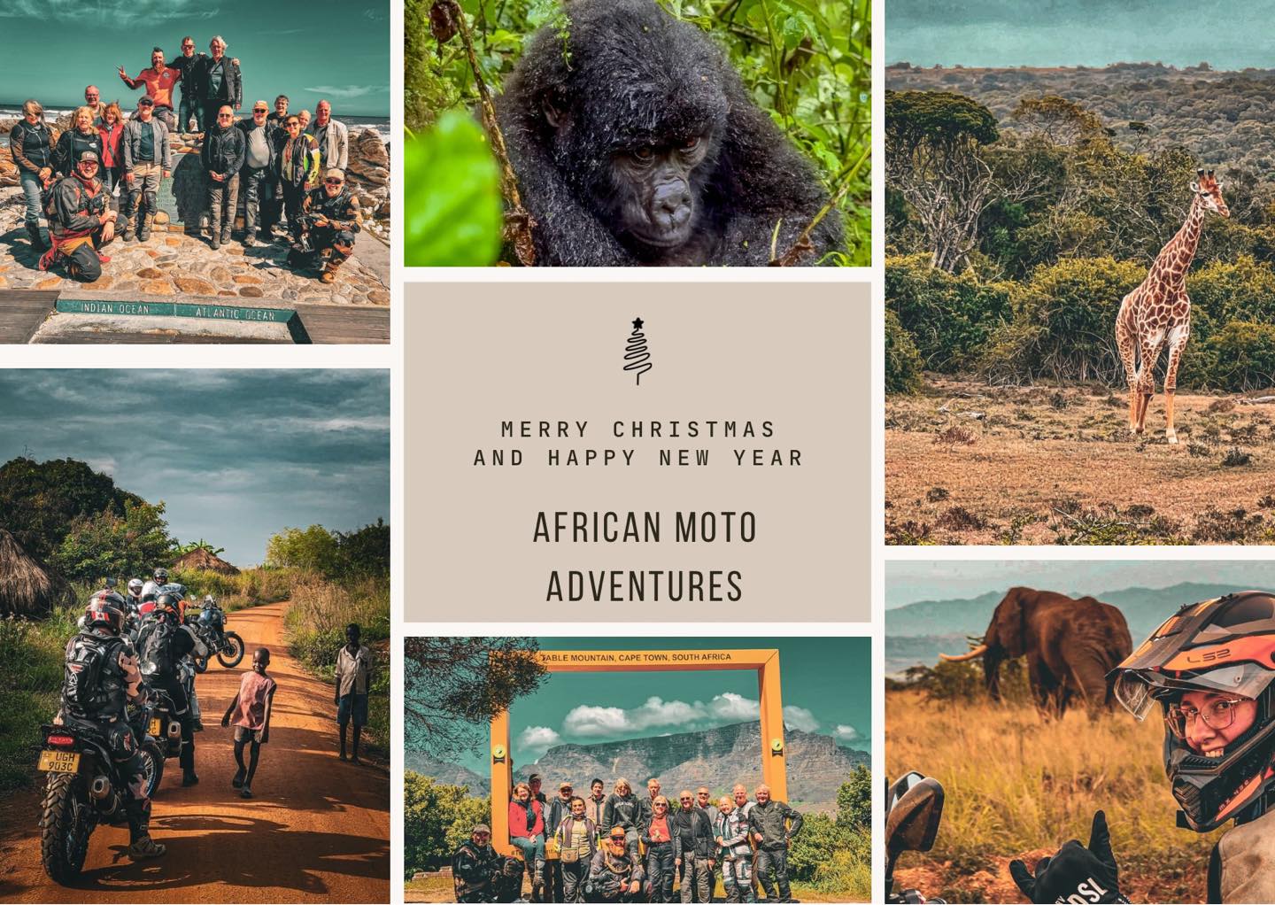 Wishing all of our incredible clients a very Happy Christmas 🎄
This year has taken us a long way from home — from the dirt tracks of Namibia to the misty jungles of Uganda — and none of it would’ve happened without the people who trusted us to take them there.
Thank you for the laughs, the early starts, the late beers, and the shared moments that don’t make it into brochures. Whether you joined us on tour this year or you’re planning one for the future, we’re seriously grateful for the support.
Here’s to a well-earned break, good food, great company, and plenty more adventures waiting in the new year 🍻
Merry Christmas from our family to yours.
- The AMA Team