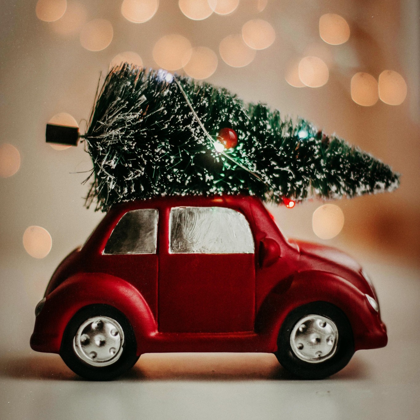 Toute la famille Carone vous souhaite de très joyeuses fêtes, remplies de beaux moments, de rires et de douceur.
The entire Carone family wishes you very happy holidays, filled with beautiful moments, laughter, and warmth.
Tutta la famiglia Carone vi augura delle festività molto felici, piene di bei momenti, risate e dolcezza.