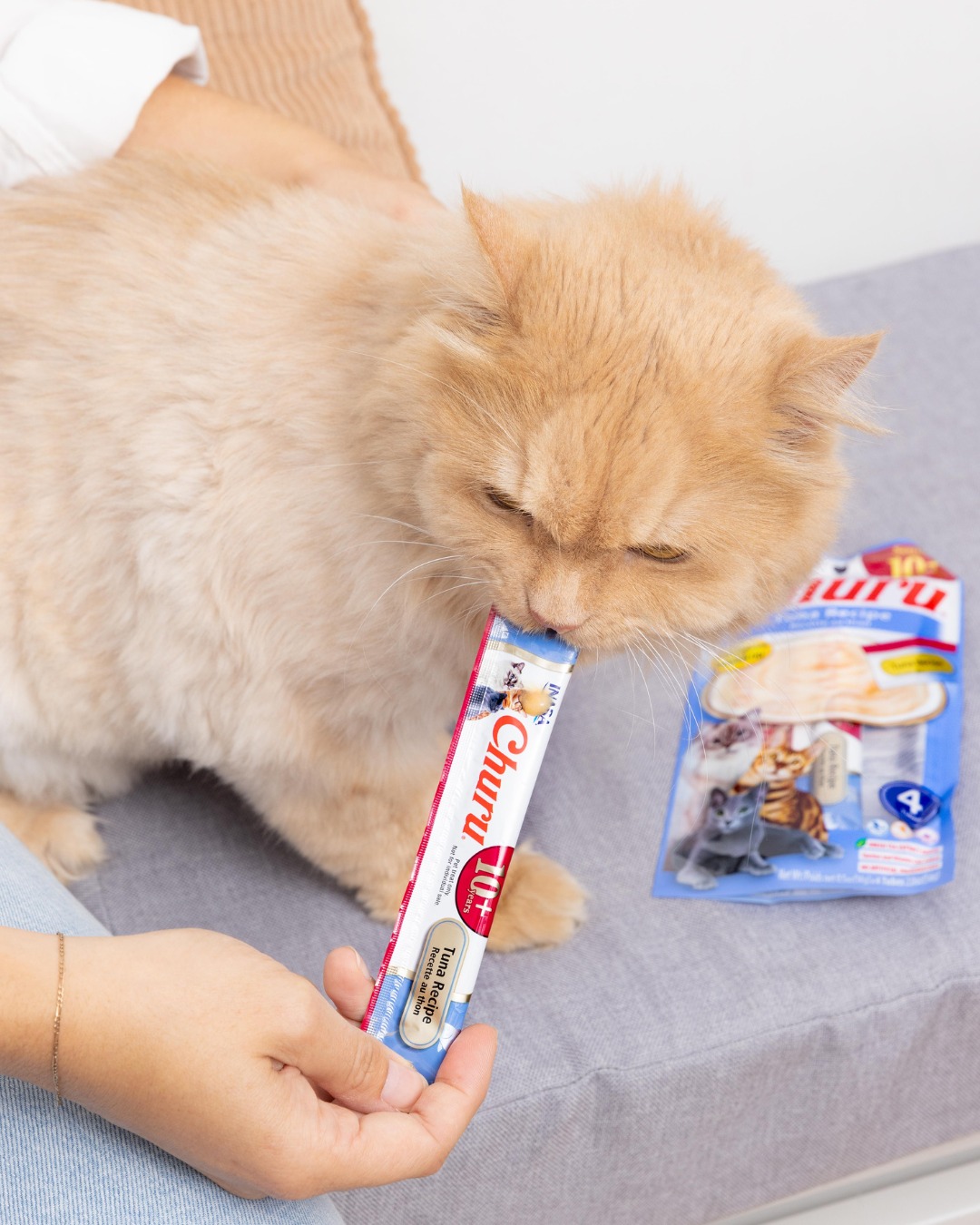 Creamy treat = instant obsession đđŸ
When itâs Churu, even the fussiest cats canât resist.
Perfect for bonding, rewarding, or just because đ
đ Treat your cat to Churu today.
#Churu #InabaChuru #CatTreats #FussyCatApproved