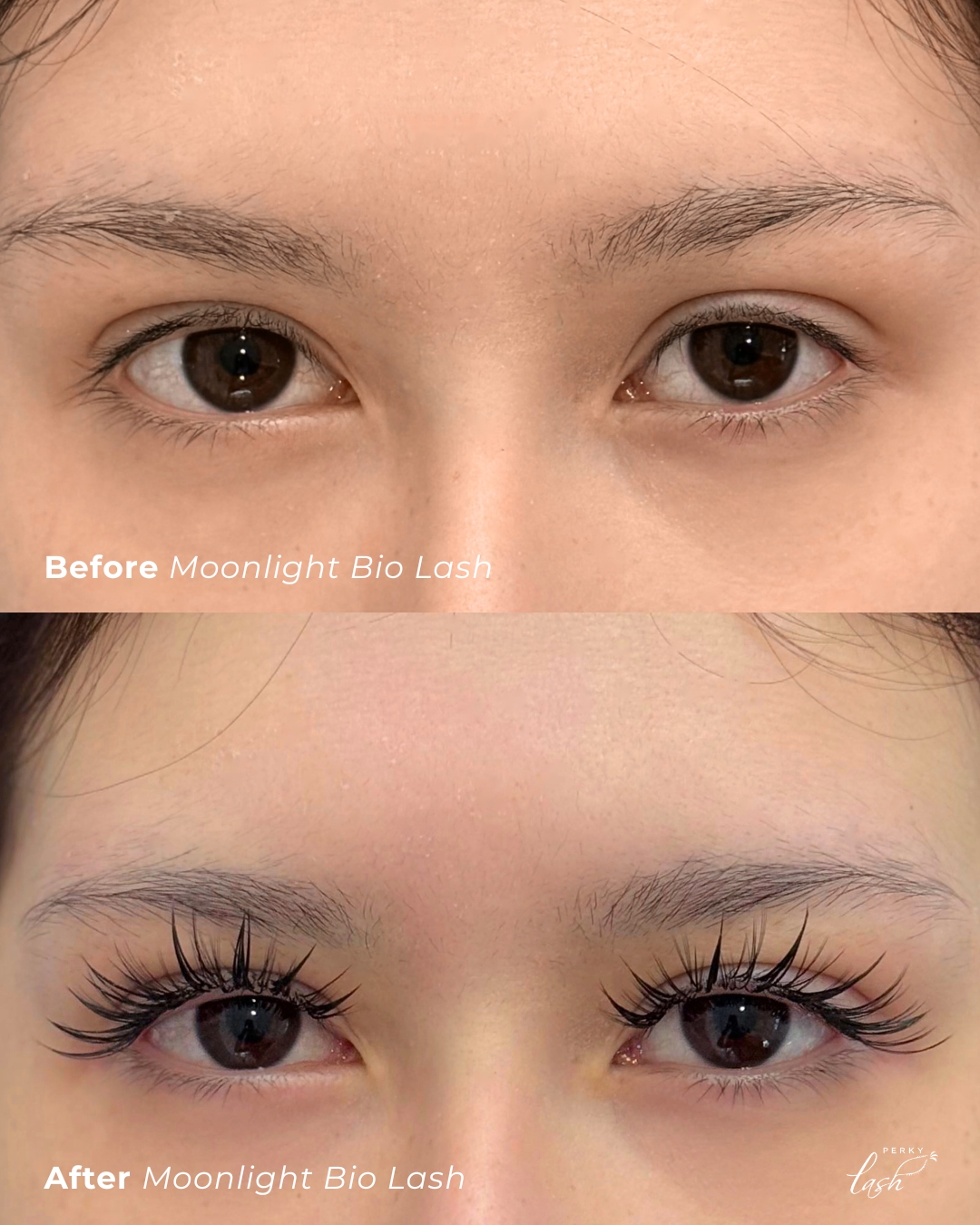 before & after Moonlight Bio Lash 🌙
Enjoy $10 off for your first Bio Lash trial!
Available at all outlets 📌
#perkylash #biodegradablelash #biolash #sglashes #sglashextensions