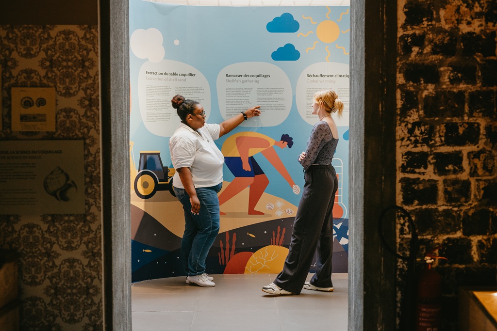 âStep into the World of Seashellsâa museum where the ocean comes alive! ðâš
Explore hundreds of stunning shells from around the globe and discover the fascinating stories behind each one.
From rare specimens to interactive displays, our museum offers a unique blend of education and entertainment that makes learning about marine life fun for all ages. Dive in, be inspired, and let the wonders of the sea spark your curiosity!â ð