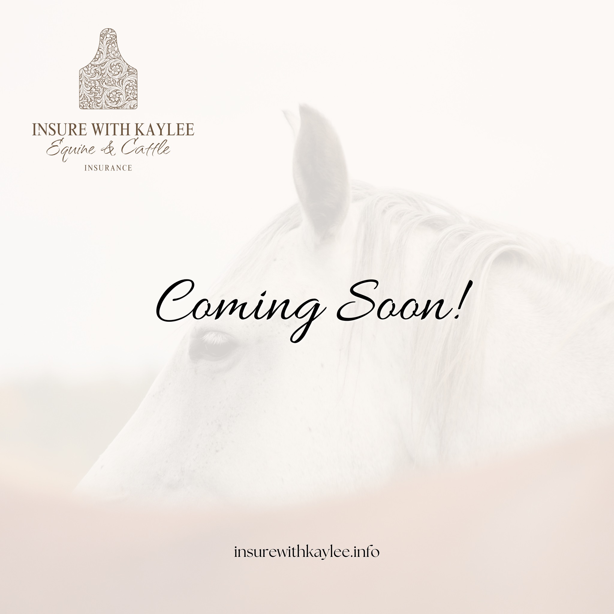 We’re excited to announce we’ll be writing with a new equine carrier starting January 1 — giving us 3 equine carriers we can now write with.
If you’re curious about rates, feel free to message or email me and I’ll get a quote over to you!