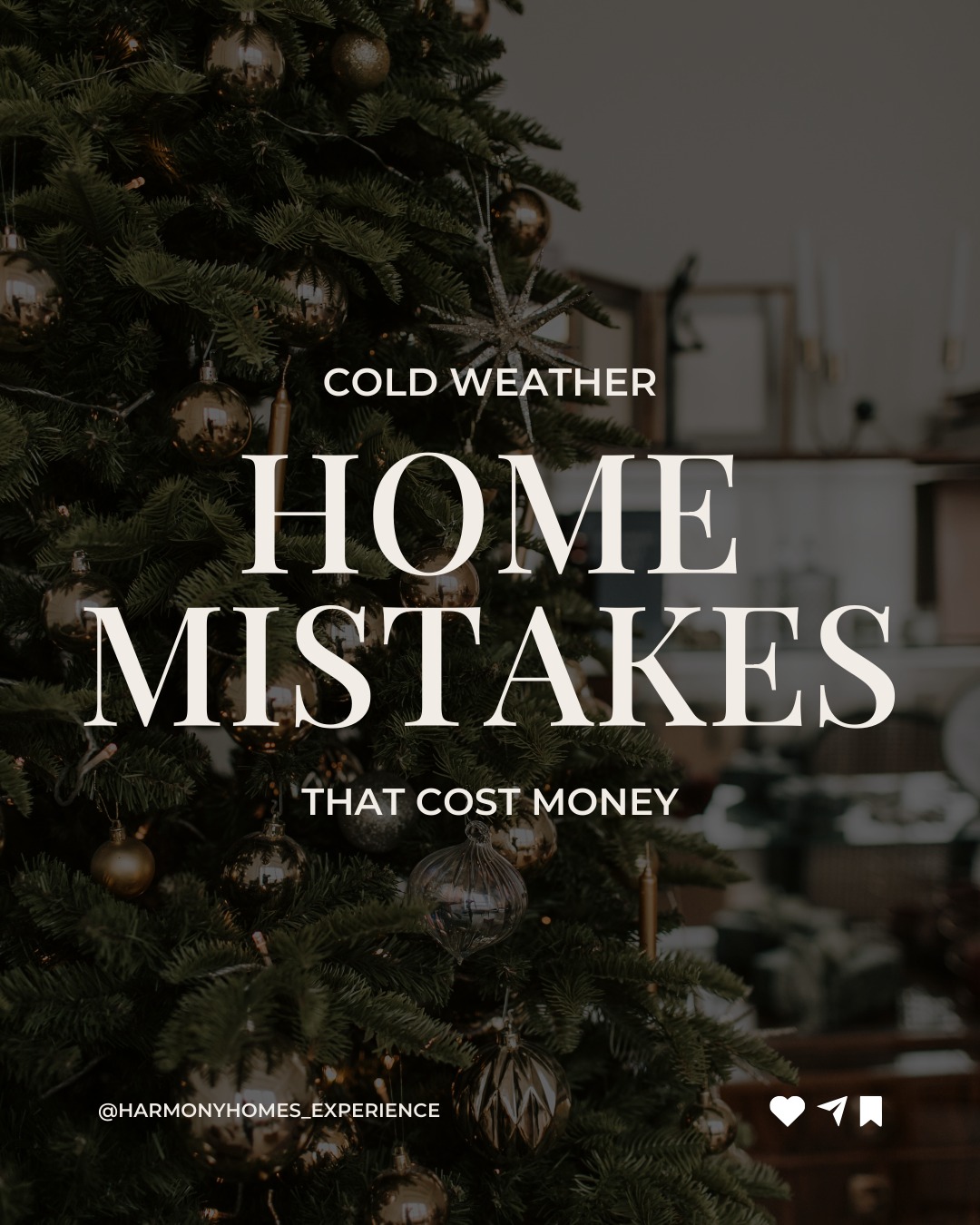 harmonyhomes_experience