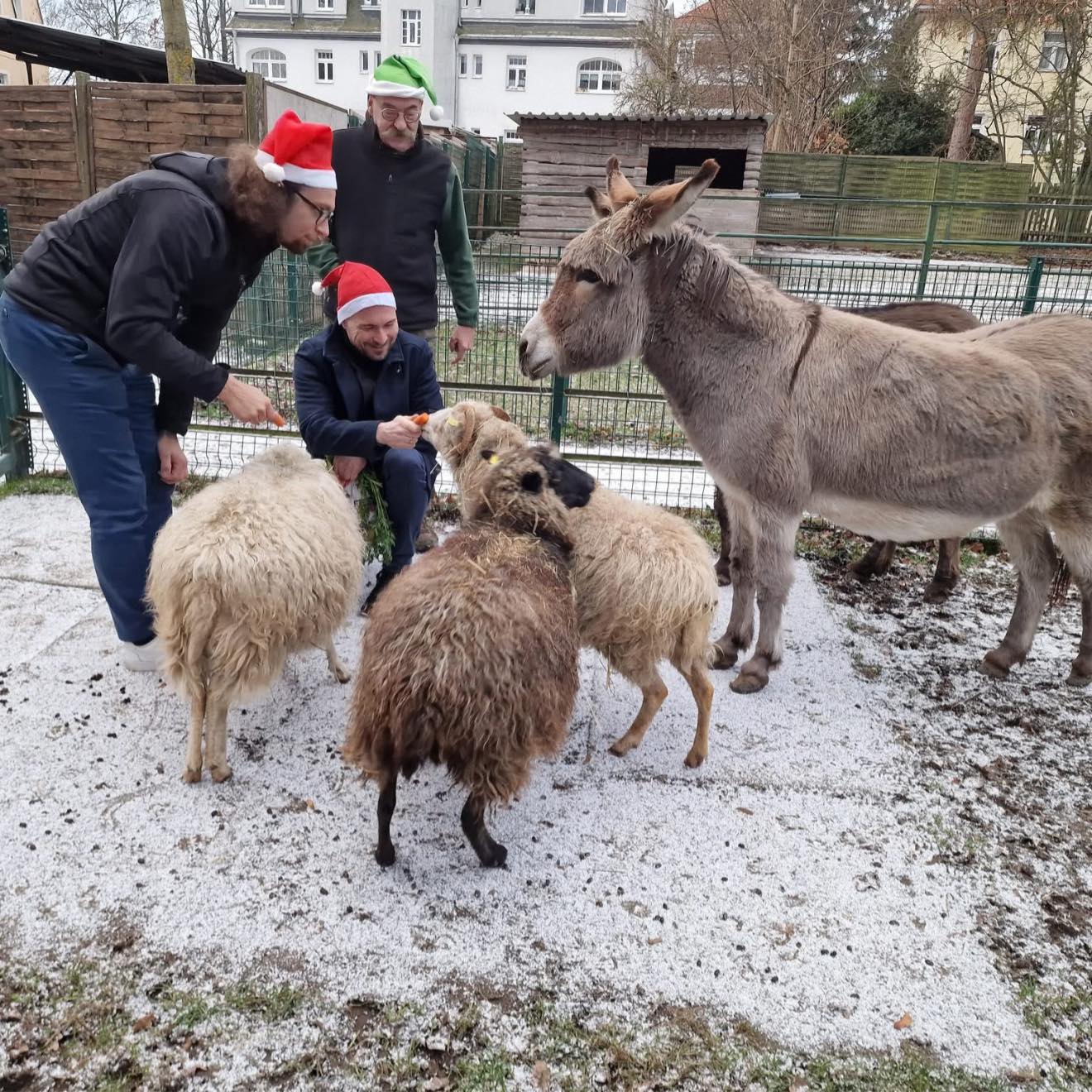 Während viele von uns die Weihnachtsfeiertage im Kreis ihrer Familien verbringen, gibt es Menschen, die genau dann Verantwortung übernehmen – für andere, für unsere Stadt, für das große Ganze. Menschen, die ihre Zeit, ihre Kraft und oft auch persönliche Momente opfern, damit Freiberg auch an den Feiertagen sicher, versorgt und lebenswert bleibt.
Es ist eine schöne Tradition in Freiberg, dass wir am Heiligabend genau diesen Einsatz würdigen und sichtbar machen. Gemeinsam mit Bürgermeister Martin Seltmann besuchte ich heute Mitarbeiterinnen und Mitarbeiter, die die Feiertage nicht zu Hause verbringen können, sondern in ganz unterschiedlichen Bereichen für alle Freibergerinnen und Freiberger da sind: im Tierpark Freiberg, in unseren Seniorenheime Freiberg gemeinnützige GmbH, bei der Polizei Sachsen, beim Wasserzweckverband Freiberg und der Freiberger Abwasserbeseitigung, bei der Feuerwehr Freiberg, dem Rettungsdienst sowie in der Leitwarte der Stadtwerke FREIBERG AG.
Mit kleinen Gesten, persönlichen Worten und ehrlichem Dank soll sichtbar werden, was sonst oft selbstverständlich erscheint: Ohne die vielen Menschen, die arbeiten stünde vieles in unserer Silberstadt Freiberg still. Sie sorgen für Sicherheit, Sauberkeit, für funktionierende Infrastruktur, für Versorgung, für Menschlichkeit und Fürsorge – gerade dann, wenn sie am meisten gebraucht werden.
Zwischen diesen Besuchen gab es zudem einen ganz besonderen Moment: die Gelegenheit, Familie Hachenberger zum 70. Hochzeitstag zu gratulieren. Am 24. Dezember 1955 gaben sich die beiden das Ja-Wort – ein gemeinsamer Lebensweg, der nun schon sieben Jahrzehnte umfasst.
Engagement, Verantwortung und Gemeinschaft sind so vielfältig in unserer Stadt. Ein herzliches Dankeschön an alle, die über die Feiertage im Dienst sind und Verantwortung tragen, ebenso an diejenigen, die in anderen Bereichen hart arbeiten, sich tagtäglich einsetzen oder ehrenamtlich engagieren – ihr alle haltet unsere Stadt zusammen.
Frohe und gesegnete Weihnachten an alle! 🎄🎅🏻 💫
