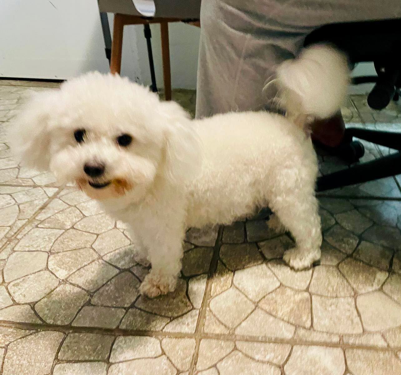 Riéndo con papá 😂 🤣