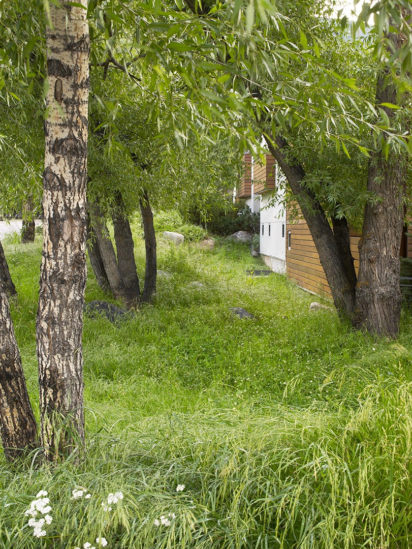 There’s more to this simple understory mix than meets the eye—it slows stormwater runoff💧 as it moves across the site, allowing some of the water to be absorbed by the soil and tree roots. 🌳This small design move adds up and helps reduce stress on the detention ponds and area drains downstream.
📸: @jasondewey
#landscapearchitecture #landscapedesign #landscape #gardendesign #design #luxurylandscape #gardeninspiration #sustainability #landarch #landscapefirst #LowImpactDesign #SustainableDesign #DetailsMatter #DesignWithPurpose #PlaceBasedDesign #DesignInspiration