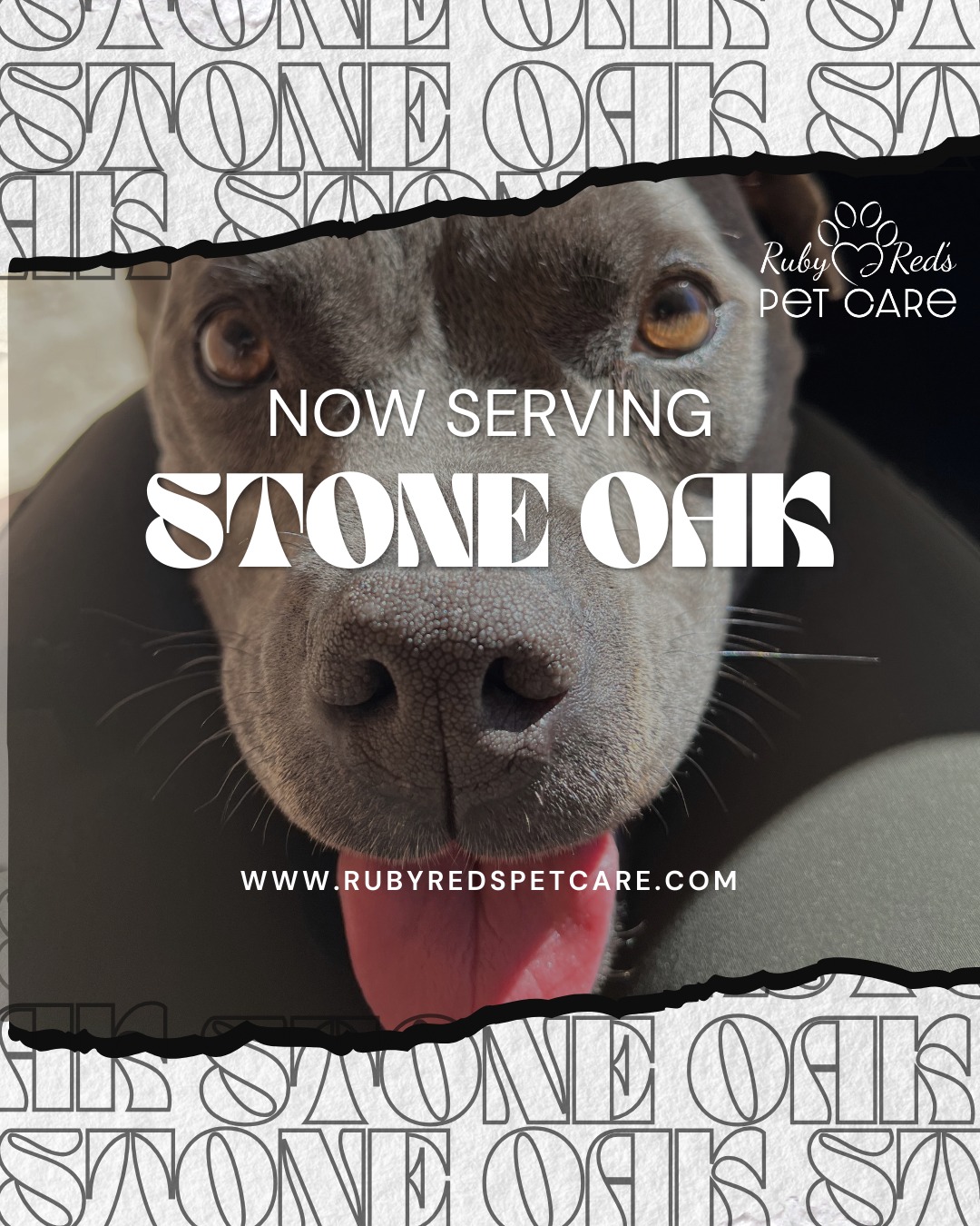 Queta wanted to bark some exciting news! π¨ Attention Pet Parents! π¨
Weβre thrilled to announce that our premium pet care services are now available in your area! As pet parents ourselves, we know pet care is no milk bone cookie-cutter type of service! From prissy paws to couch potatoes to the highly adventurous, our services are customized to your pet's needs.
.
πΎ Now serving: Stone Oak!
.
Now booking for January. Book your spot today and give yourself the peace of mind you deserve.
.
Sniff around our website to learn more! www.RubyRedsPetCare.com
.
We are grateful for your support of our #veteranowned #smallbusiness.
.
#rubyredspetcare #dogwalking #petsitting #petcare #petcarepro #supportsmallbusiness