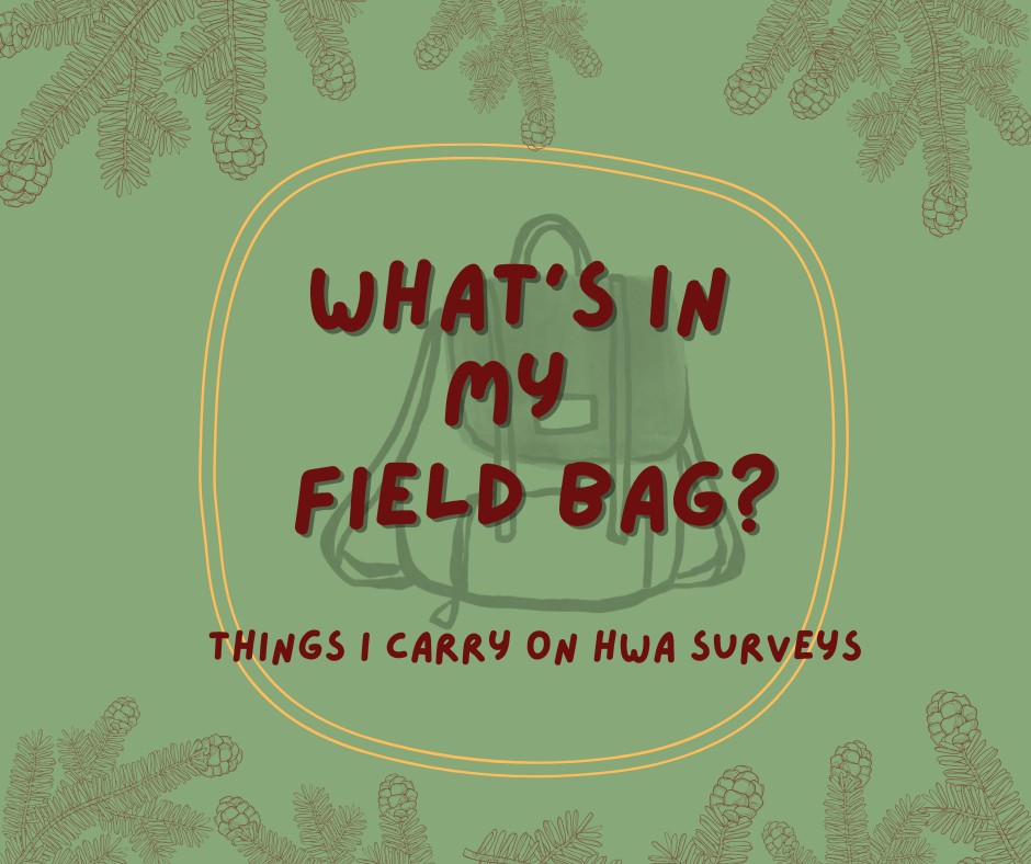 Our HWA crew has officially started surveying! They will be looking for HWA (Hemlock Woolly Adelgid) on both public and private lands in Menominee County.
Last winter, WRISC surveyed 1,000 acres for Hemlock Woolly Adelgid. Madison, our tech from last year, shared what she carried in her field bag as she hiked those acres. Take a look!
And remember! If you own land in Menominee County, WRISC is offering free surveys from December 2025 through March 2026 to check for HWA.
Visit our website to schedule a site visit: https://www.wrisc.org/site-visit
