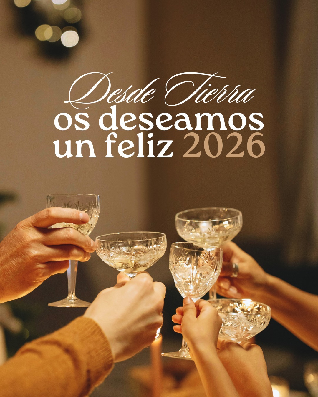 En este último día del año queremos expresar nuestro más sincero agradecimiento a todos nuestros clientes y amigos, tanto de la distribuidora como de la vinoteca, por acompañarnos y confiar en nosotros un año más. Gracias por formar parte de este proyecto que, con el tiempo, se ha convertido en una gran familia que no deja de crecer.
Os deseamos que el nuevo año nos permita seguir compartiendo momentos, aprendiendo juntos y, sobre todo, brindando muchas veces más. Que cada uno lo haga con la copa que más le guste y el vino que más disfrute, porque al final lo importante es seguir celebrando juntos.
¡Feliz 2026! 🥂✨