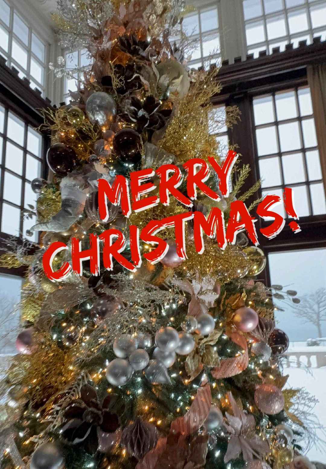 Merry Christmas to all who celebrate! 🎄✨ For several years now, we’ve had the true honor of decorating the beautiful tree at Lake Shore Country Club in Glencoe. Being part of this cherished holiday tradition means so much to us, and we’re deeply grateful for the trust and opportunity year after year. Wishing everyone a season filled with warmth, joy, and festive moments.