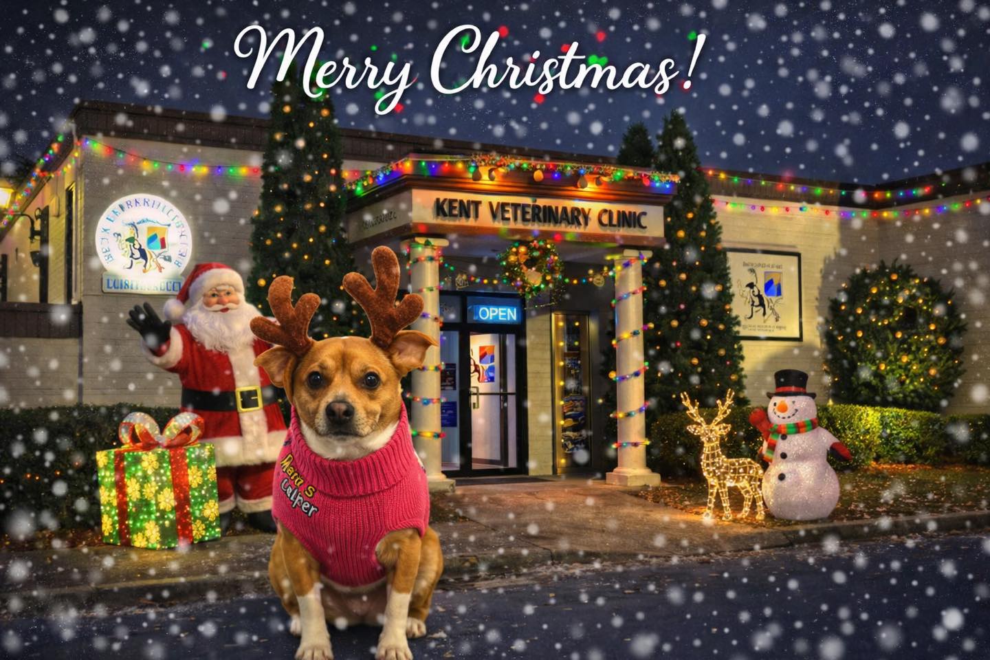 Yo.. Ho Ho. Merry Christmas to all!! #teamkentvet #DogsofInstagram #rescuedog
