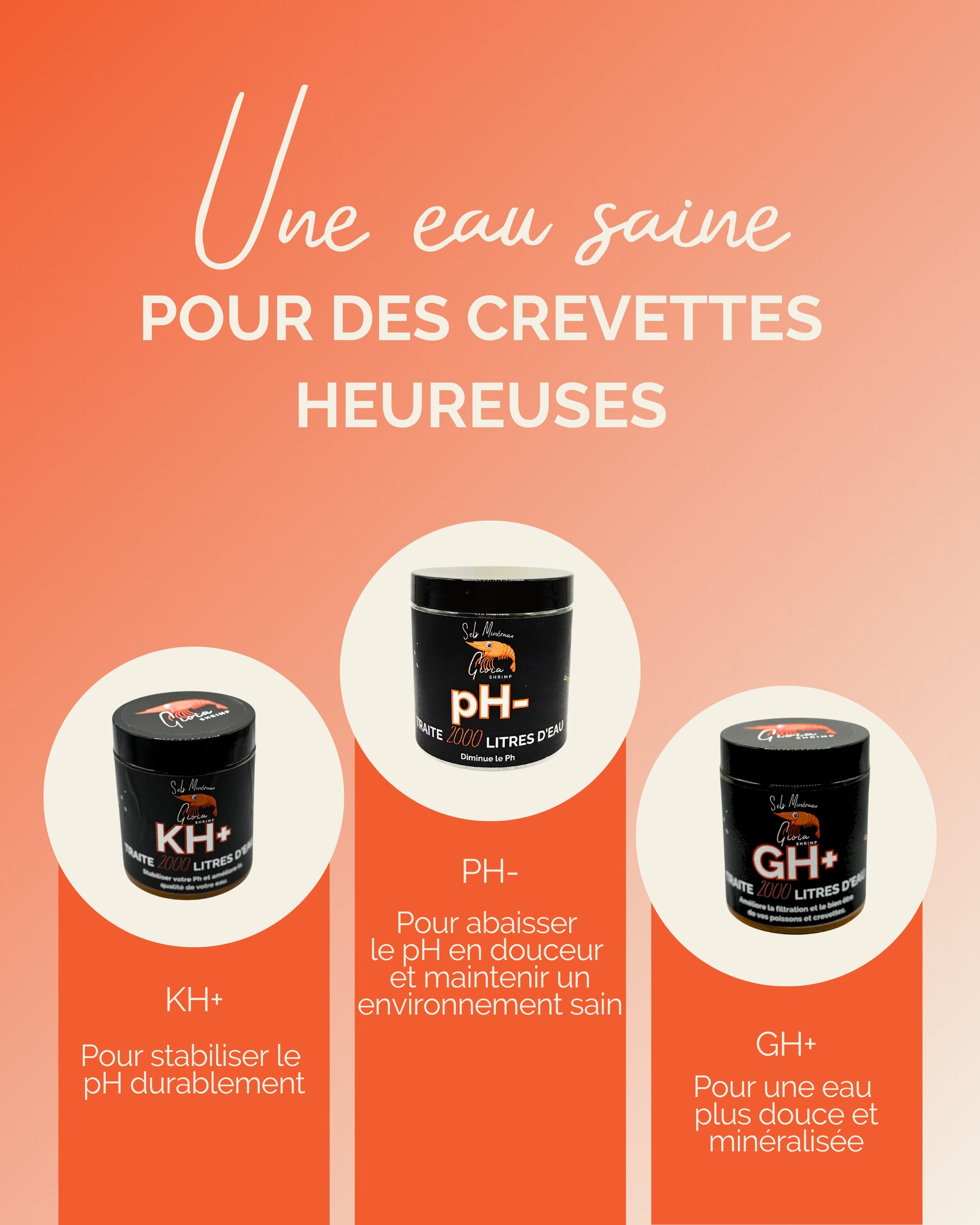 💧 Une eau équilibrée = des crevettes épanouies ! 🦐
Grâce à nos sels minéraux, gardez une qualité d’eau optimale toute l’année 🌿
🌊 3 formules naturelles et simples d’utilisation :
GH+ → pour une eau plus douce et minéralisée
KH+ → pour stabiliser le pH durablement
BactoShrimp → concentré de bactéries et enzymes pour un bac sain
✅ Made in France
✅ Formule concentrée : une seule cuillère suffit !
✅ Résultats visibles dès les premières utilisations
👉 Préparez vos aquariums pour une nouvelle saison pleine de vitalité !
#gioiashrimp #selsminéraux #aquariumhealthy #shrimpkeeping #crevettes #aquariumnaturel #bactoshrimp #entretienaquarium #madeinfranceæ