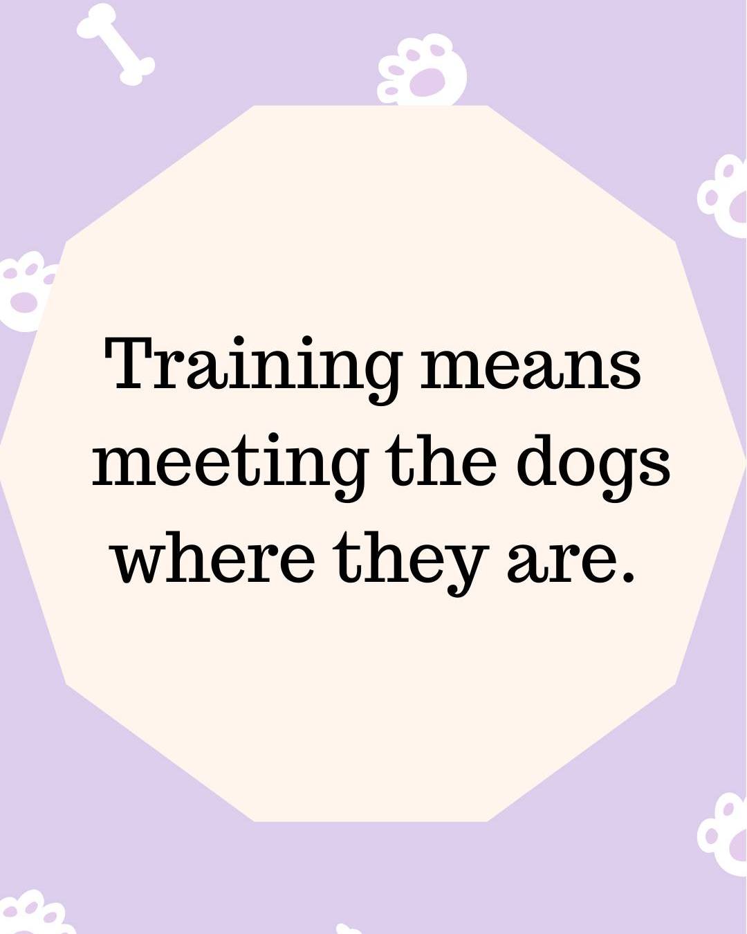 I don’t have a traditional training space—and that surprises people.
Most behavior issues don’t happen in a classroom.
They happen at home, where the dog is most comfortable.
That lets me understand the dog, the family, and what “normal” really looks like for them.
