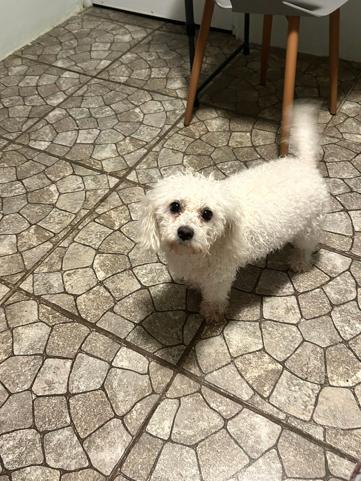 Lucia banadita barriguita pelada en espera de los bebés. Ya falta como una semana y media. Molesta con nosotros por bañar la 😂