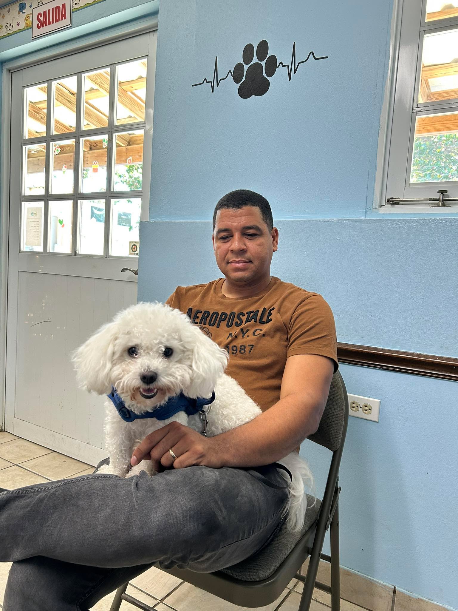 Llegó el día 🎉🎉🎉💜🎊a ver cuántos puppies tiene Lucía 🤗 puppy reveal today! 💃🏽