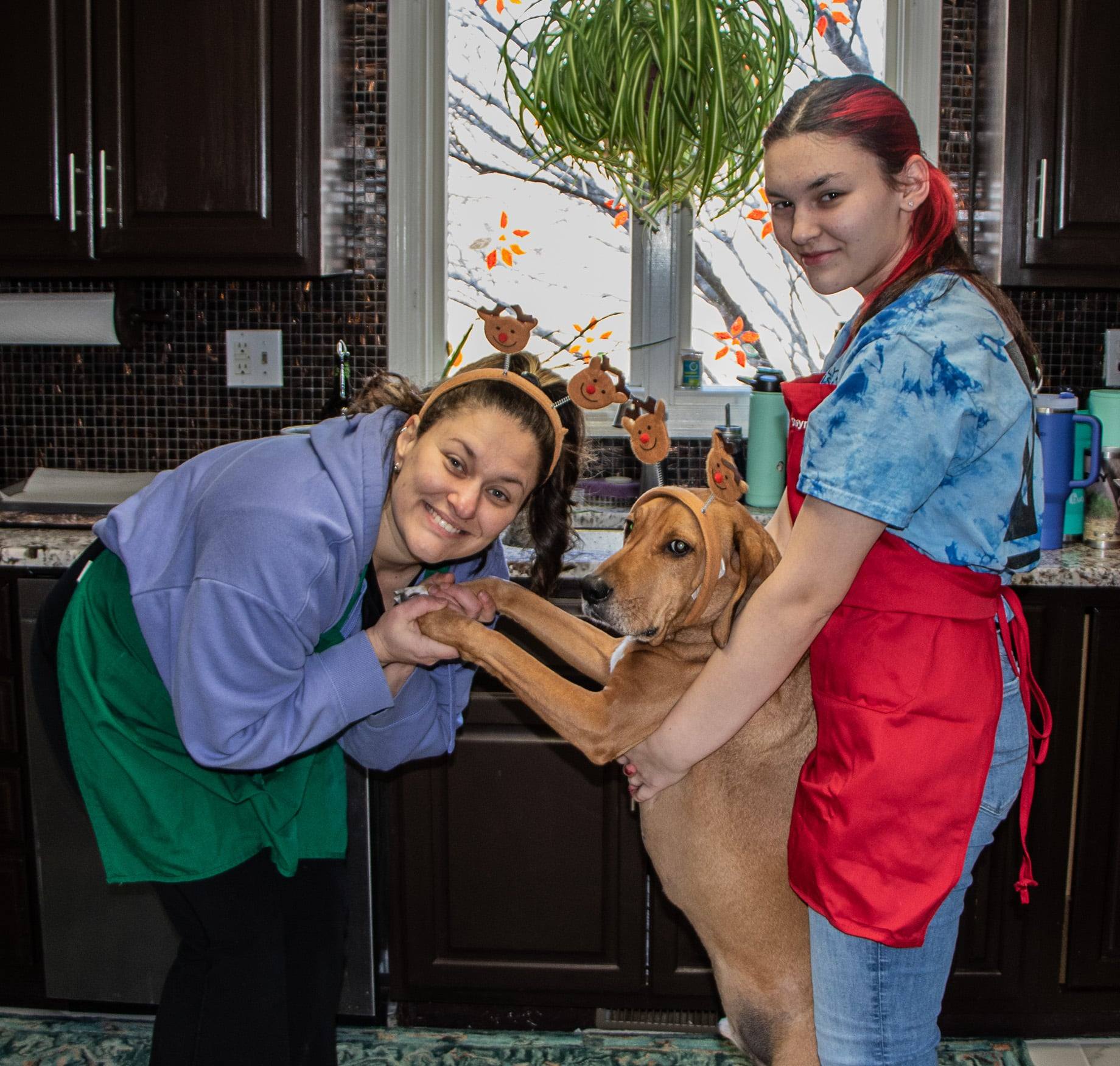 Baking Christmas cookies 122025 p2