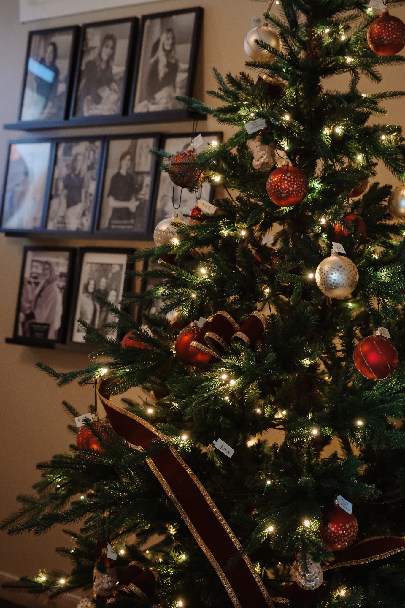 Hoppas att ni alla hade en mysig och fin jul igår 🎄
Öppettider denna vecka:
25/12 Juldagen – stängt
26/12 Annandag jul – stängt
27/12 lördag – 11–16
28/12 söndag – 11–16
Varmt välkomna till helgen ❤️