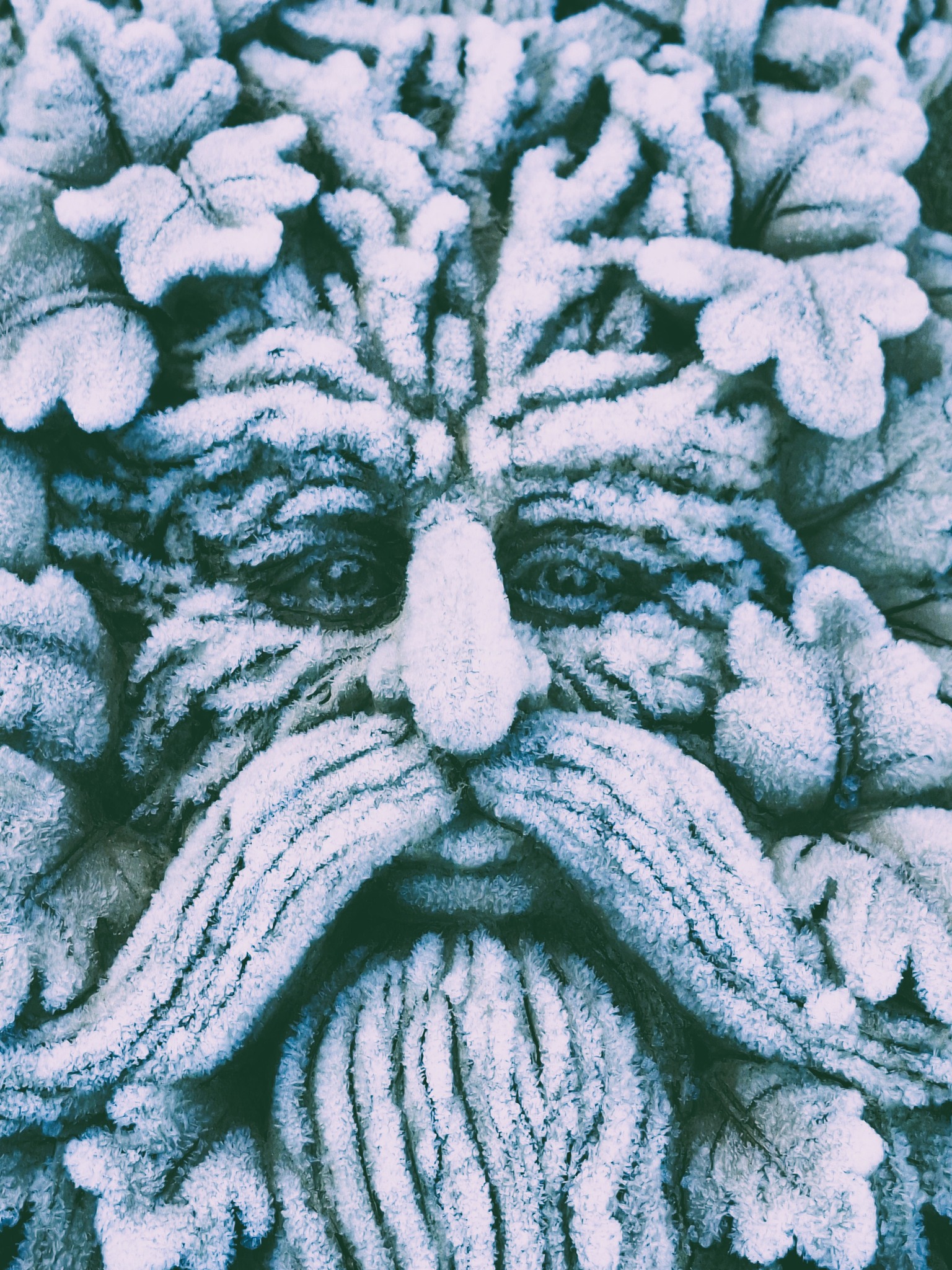 Opening Hours for January 2026:
Monday 8.45am till 3pm
Tuesday: Closed
Wednesday: 8.45am till 3pm
Thursday: Closed
Friday: 8.45am till 3pm
Saturday: 10am to 1pm.