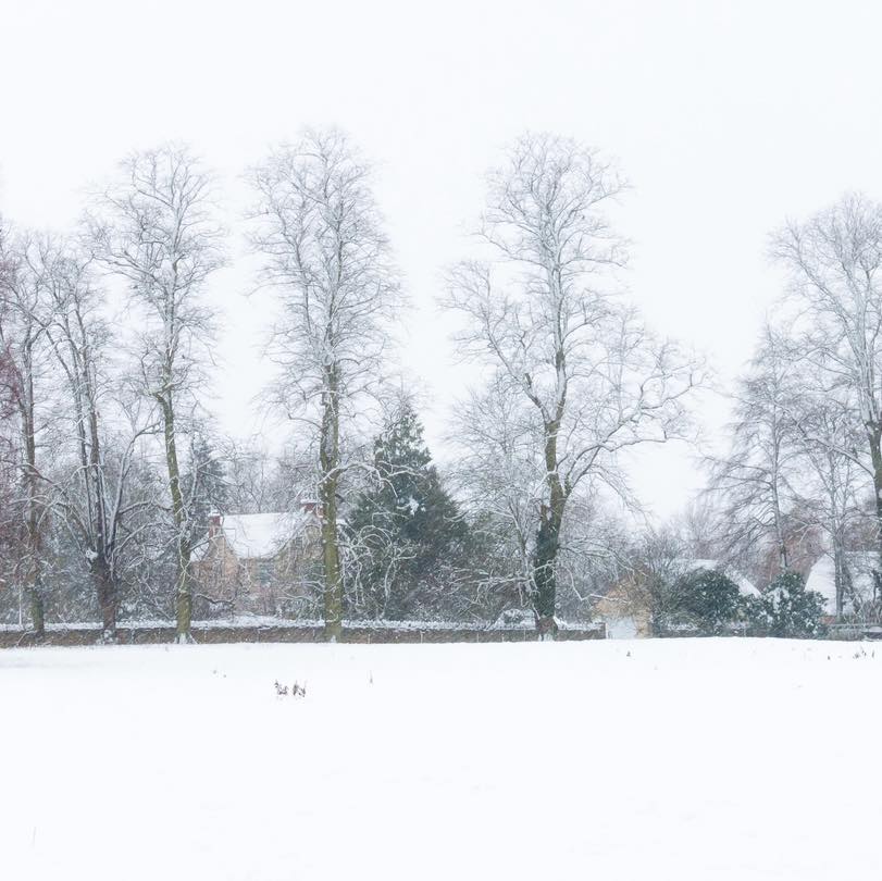 Not quite as snowy as I was hoping in my part of Oxfordshire today so here’s a throwback to when we had a decent dumping of snow in the Cotswolds!
#beautifulengland #countryfile #englishcountryside #farmland #rural #photosofengland #countrysidelife #artforsaleonline #ruralscenes #cotswoldsviews #countrysideviews #discovercotswolds #cotswolds_culture #cotswolds365 #coasters #mugs #wintervibes #cotswoldsuk #thecotswolds #visitthecotswolds #winterwonderland #cotswoldlife #printsforyourhome #snowfall #snowday