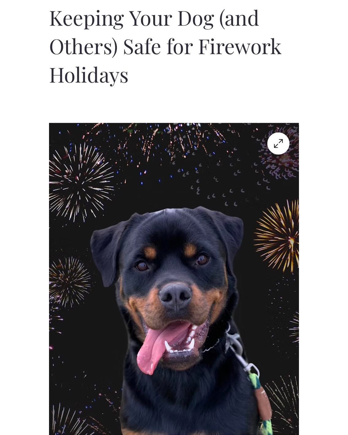 Let’s discuss some inside of the box as well as outside of the box safety topics for your dog’s behavior this firework holiday.
Link in comments/stories!
