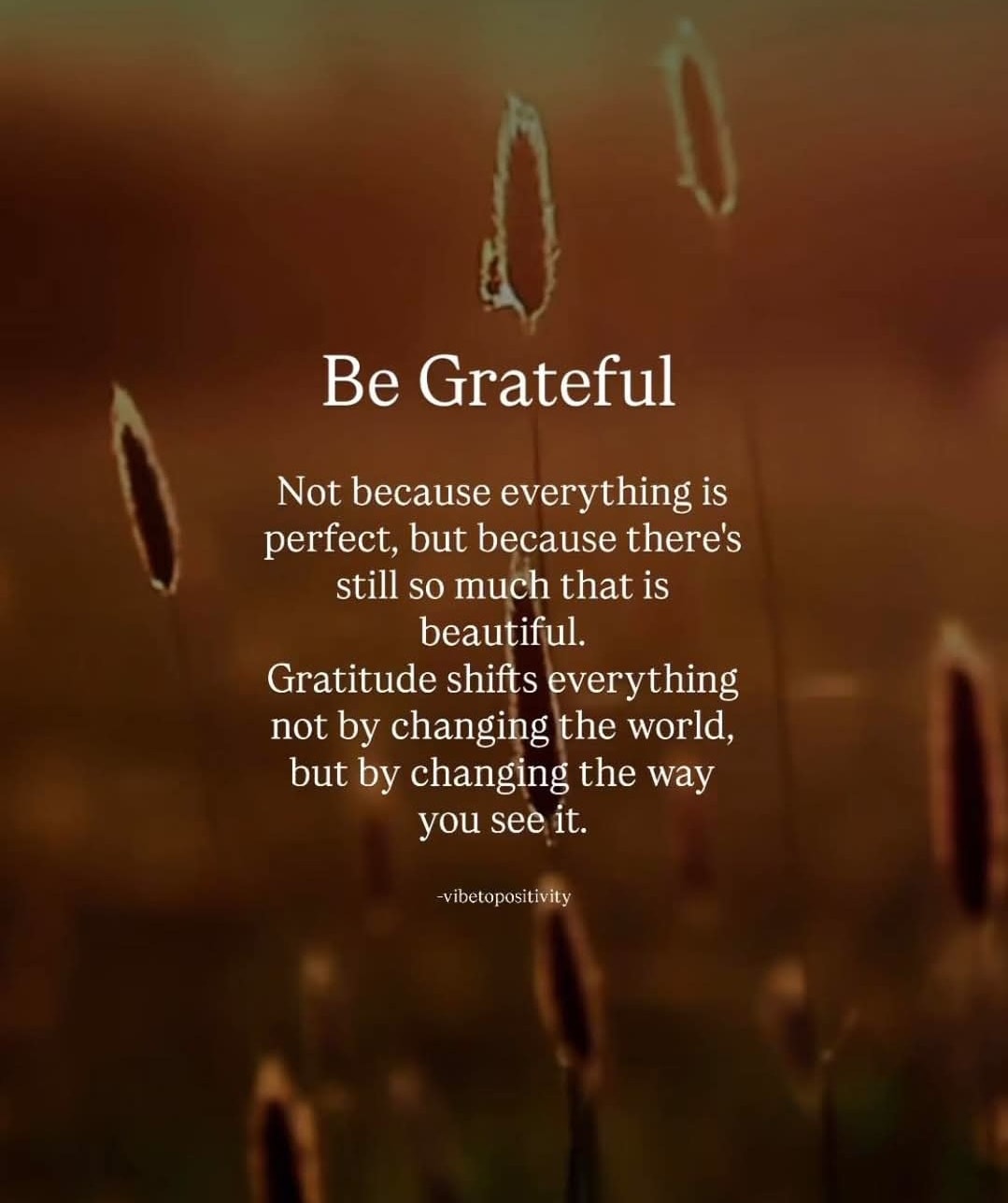 This week's #ShineVibes 💫