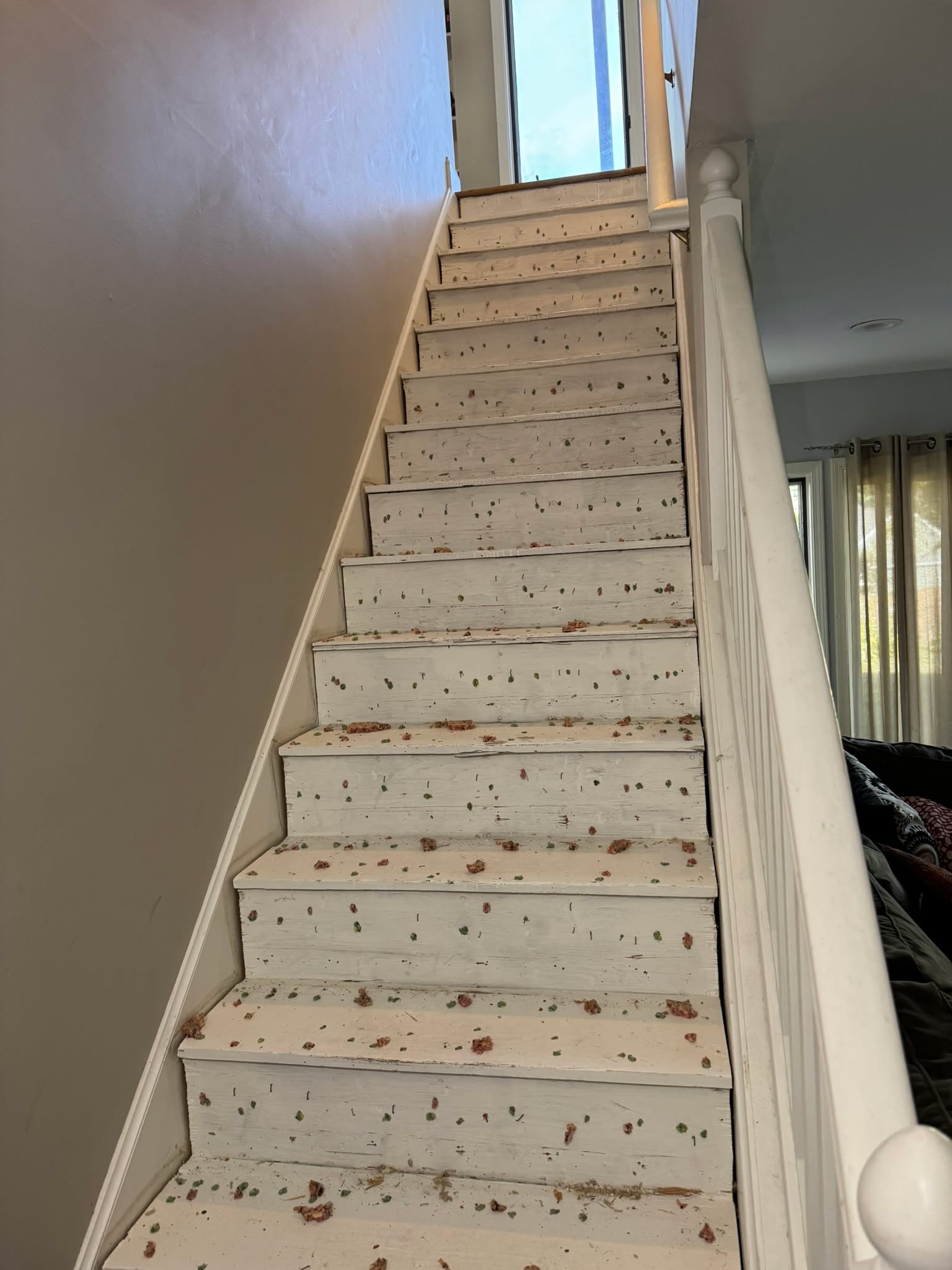 Real Talk: The Ugly Before the Beautiful 😅
Ever wonder what "demolition day" truly looks like? Well, here’s a sneak peek behind the scenes of our next upcoming project. This staircase is getting a total facelift, and let's just say... it's a work in progress! 😬