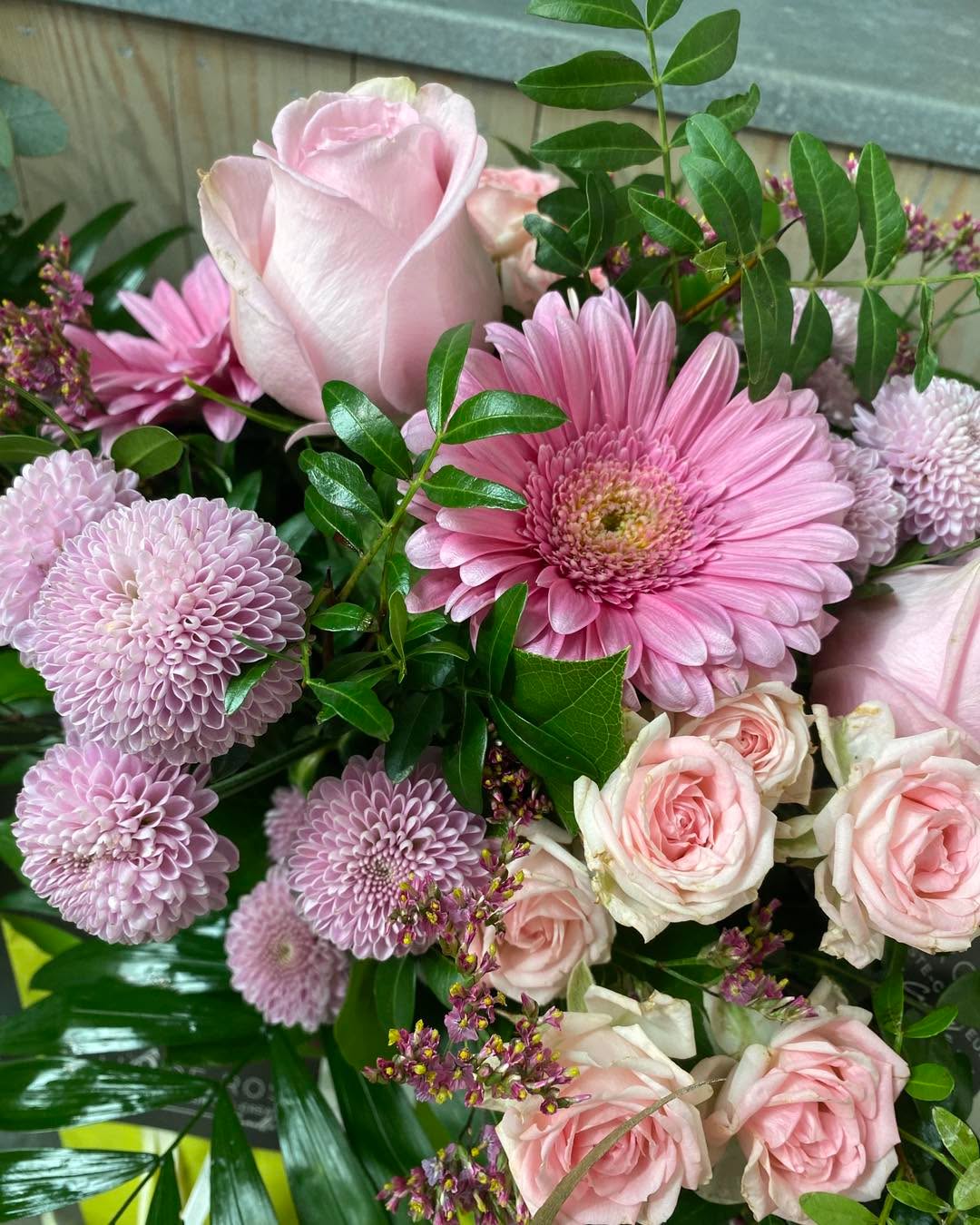 🎆 DERNIER JOUR D’OUVERTURE 2025 🎆
C’est aujourd’hui ou jamais avant fermeture pour raison médicale.
Le magasin ferme à partir de cette après midi et jusqu’au minimum le 18/01 inclus.
Horaires exceptionnels aujourd’hui :
9h à 12h / 13h à 15h
🌸 Venez faire le plein de belles choses pour terminer l’année en beauté :
✨ Bouquets éclatants
✨ Plantes pour bien commencer la nouvelle année
✨ Décorations
✨ Porte-bonheur 🍀
Un dernier passage, une dernière touche florale, et plein de bonnes ondes pour 2026 🥰🫶🏼
Je vous attend avec le sourire 😍