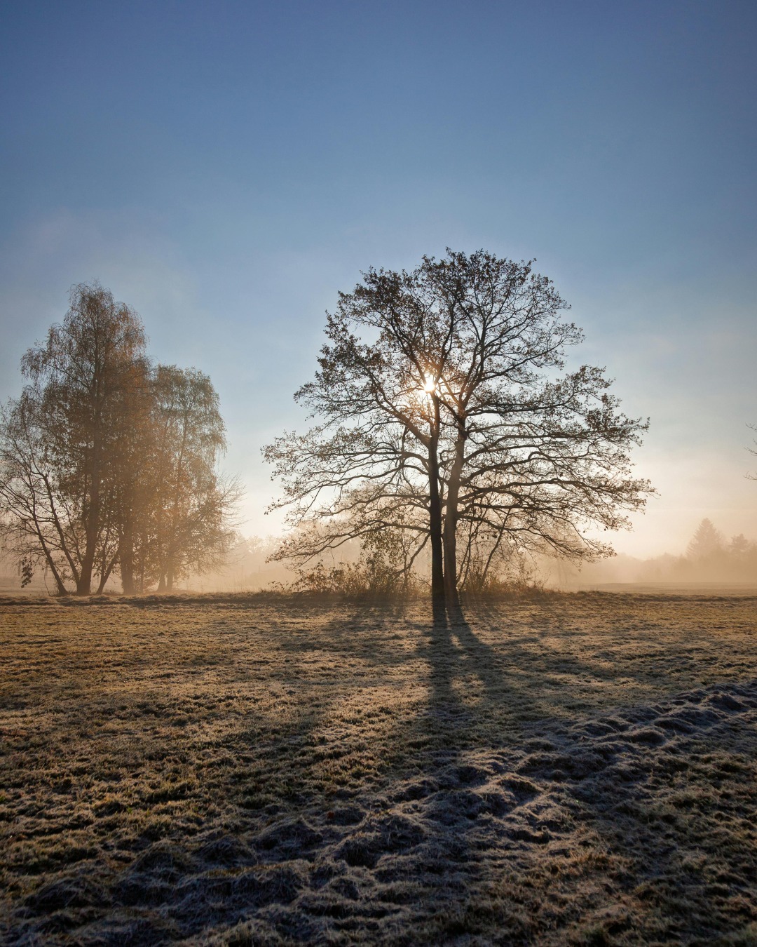 From crisp walks to culture and theatre, discover winter inspiration in our region's Winter Guide.
To feel inspired, tap the link in our bio
#winterguide #winterintheeast #winterthingstodo #winterinessex #winterwalks #theredlion #theredlioneastbergholt