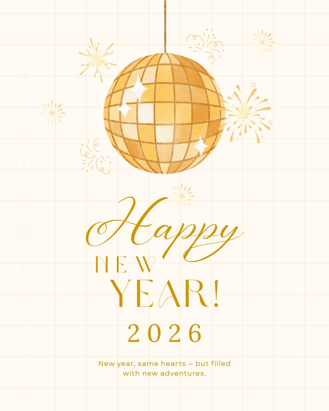 Happy New Year from all at AVSED!
Here's to a year full of fun, support and new adventures!