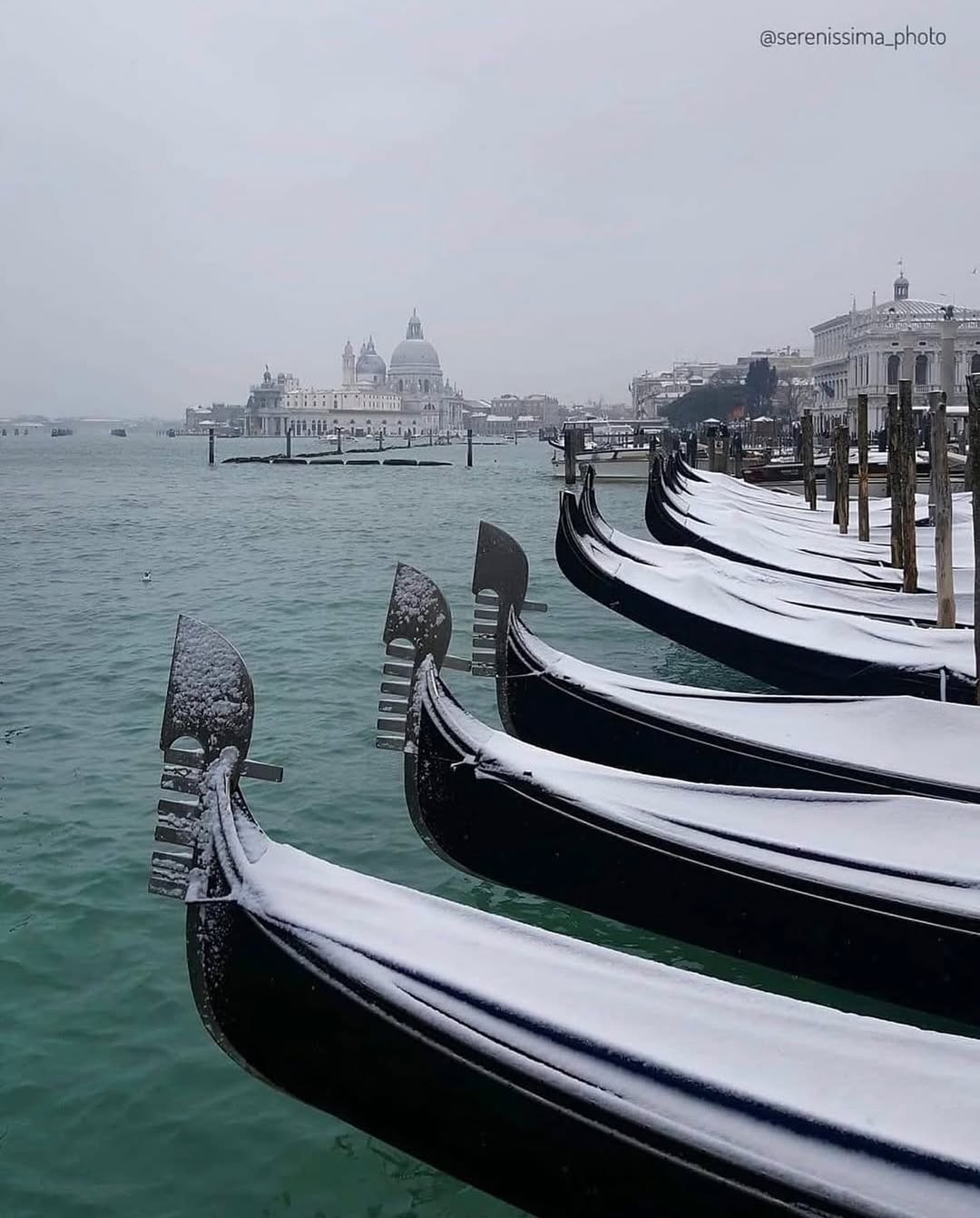 Venezia con la neve è ancora più magica! ☃️
Queste foto del 2020 ci ricordano quanto la città sappia sorprendere… e quanto sia bello iniziare un nuovo anno con un desiderio!
Chissà, magari il 2026 ci regalerà un momento così speciale 🤍
Noi intanto continuiamo a sognare, con un matcha latte caldo tra le mani e un bel fluffy pancake! È sempre l’ora del brunch… anche sotto la neve (speriamo! 🥹) 🥞☕
-
Venice is even more magical when it snows! ☃️
These photos from 2020 remind us how surprising this city can be... and how wonderful it is to start a new year with a wish!
Who knows, maybe 2026 will bring us another special moment like this 🤍
In the meantime, we continue to dream, with a hot matcha latte in our hands and a nice fluffy pancake! It's always brunch time... even in the snow (hopefully! 🥹) 🥞☕
Repost 📸 @elluxella
#brunchcafevenezia #itsalwaysbrunchtime #venezia #venice #breakfast #winter #snow