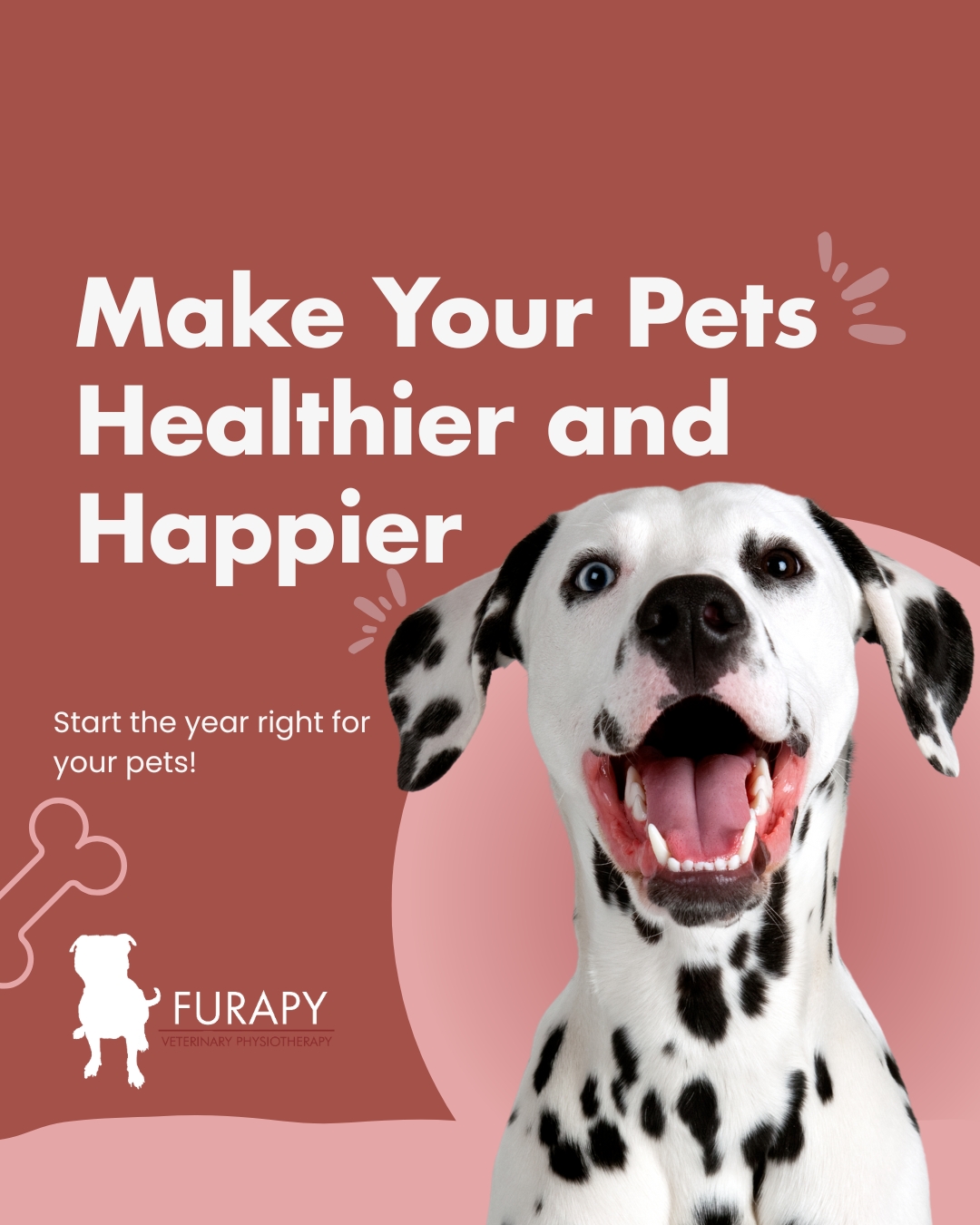 Happy New Year! 🐾
As we start 2026, now is a great time to check-in on your pet's routine and ensure that they are set-up for a happy and healthy year!
Here are a few ideas to get you started:
🐾 Diet Choices: Is your pet carrying a bit of extra coverage? Do you find your pet has stomach upset or irritated skin? A suitable diet prevents unwanted allergy-related discomfort, increased strain on joints and internal organs, as well as contributing to balanced behaviour. Need help? Speak to your vet or local nutritionist.
🐾Regular Grooming: A good groomer is worth their weight in gold! Keeping up a good coat care routine helps to prevent painful matting and skin concerns, and regular claw trimming prevents slipping and uneven joint wear which can lead to painful osteoarthritis! Remember to ask your groomer for advice if you are struggling with grooming your pet at home!
🐾Keeping up with Health Checks: Prevention is so much better than cure. Keeping your pet checked in with your vet and physiotherapist, even if you have not noticed any concerns, allows us to spot conditions or discomfort early. We recommend a check in every 6 months at least.
🐾 Getting the Balance with Exercise: Regular exercise and play is great for keeping your pet healthy, but we must be careful not to over-do it! Making sure your pet is warmed up prior to exercise, not using repetitive high intensity actions for long periods and having good rest periods are vital to preventing injuries to your pet. Want help to get this right? Speak to your physiotherapist!
🐾Love, Love Love: Last but not least, love is a tonic for all! Keep loving and enjoying your pets, and enjoy a happy healthy year!
If you do need any more advice, feel free to follow us for tips, or check out our website www.furapy.uk! We are here to help you navigate your pet's wellbeing.
www.furapy.uk
info@furapy.uk
@furapyvetphysio