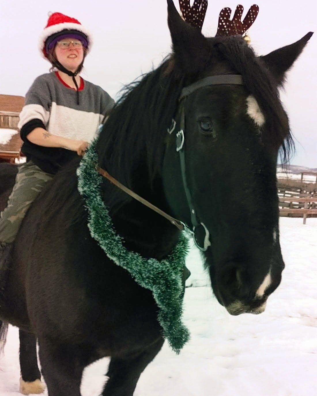 On the eighth Neigh of Christmas comes Polaris leading us into the New Year with Ashe along for the ride.
#STALC #jousting #horses #12NeighsofChristmas