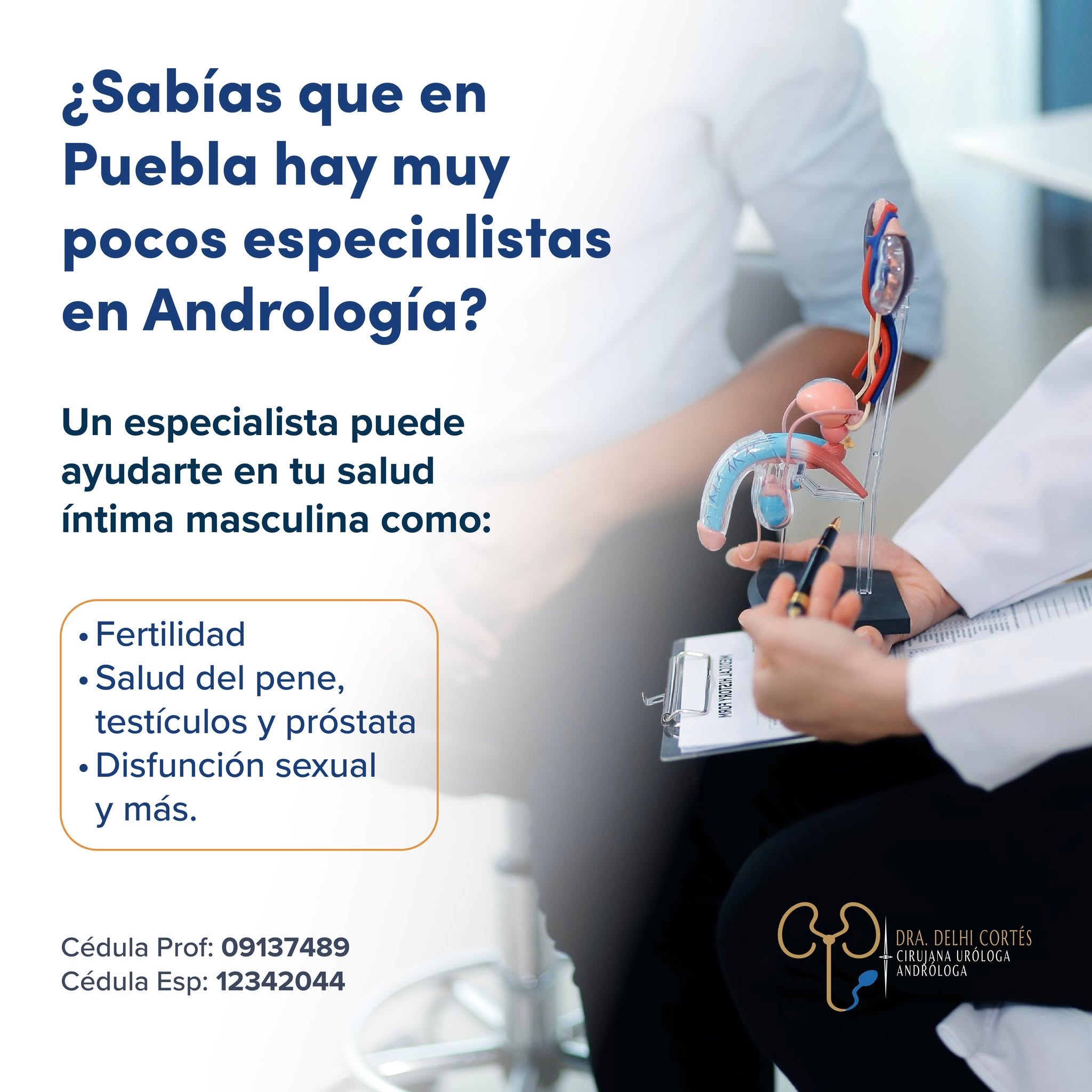 La Dra. Delhi Cortés cuenta con alta especialidad en Andrología para atender la salud sexual y reproductiva masculina con un enfoque integral y discreto
Para más información agenda tu cita
📞Teléfono: 222 227 2713
✅WhatsApp: 561 213 3757
📍Dirección:
Periférico Ecológico 3507, int. 1229, Col. Emiliano
Zapata, San Andrés Cholula
Horarios:
🕣�Martes y jueves de 16:00 a 20:00 hrs
🕣Sábados de 10:00 a 14:00 hrs
👩🏼⚕️Dra. Delhi Cortés
Especialidad en urología, C.P. 12342044
Alta especialidad en Andrología
Certificación del consejo Mexicano de Urología, 1787
Aviso funcionamiento: 2421055056X00108
Aviso Publicidad: 2421052002A00087