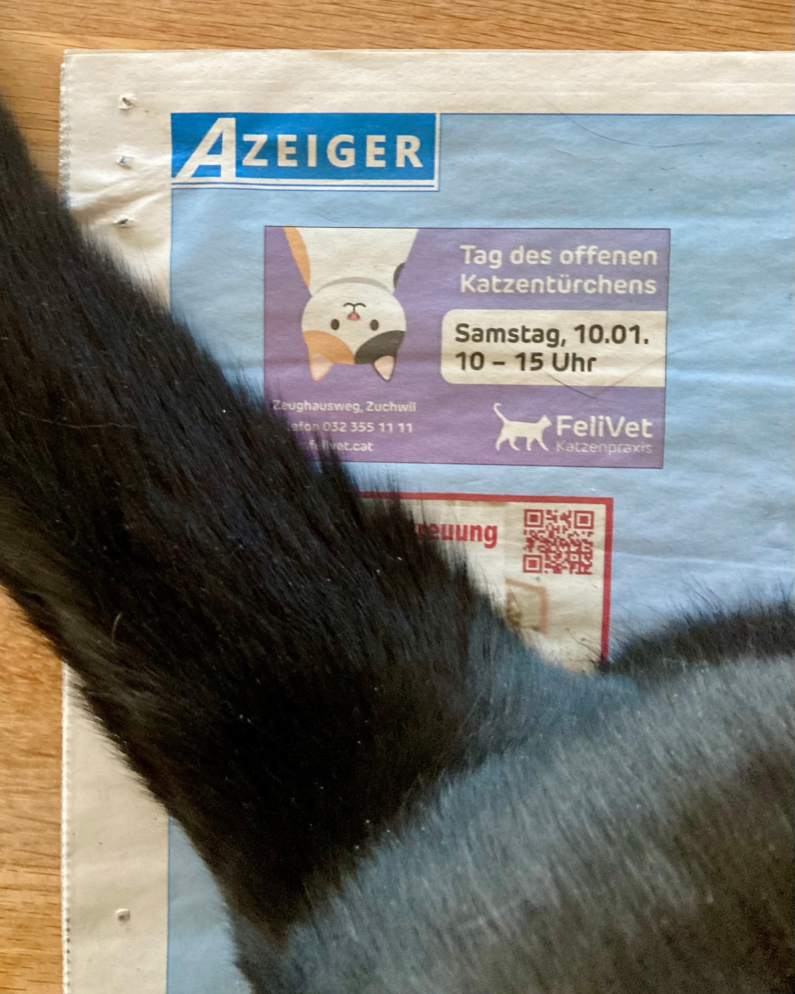 😹 Ja ja, Kater Kiki interessiert das nicht. Aber wir freuen uns jedenfalls, dass am Samstag unser "Tag des offenen Katzentürchens" ist!
Von 10 bis 15 Uhr empfängt unser ganzes Team euch gerne bei uns am Zeughausweg in Zuchwil, zeigt unsere Praxis und Ausrüstung, stellt sich vor und beantwortet eure Fragen. Bis dann! 🐈⬛